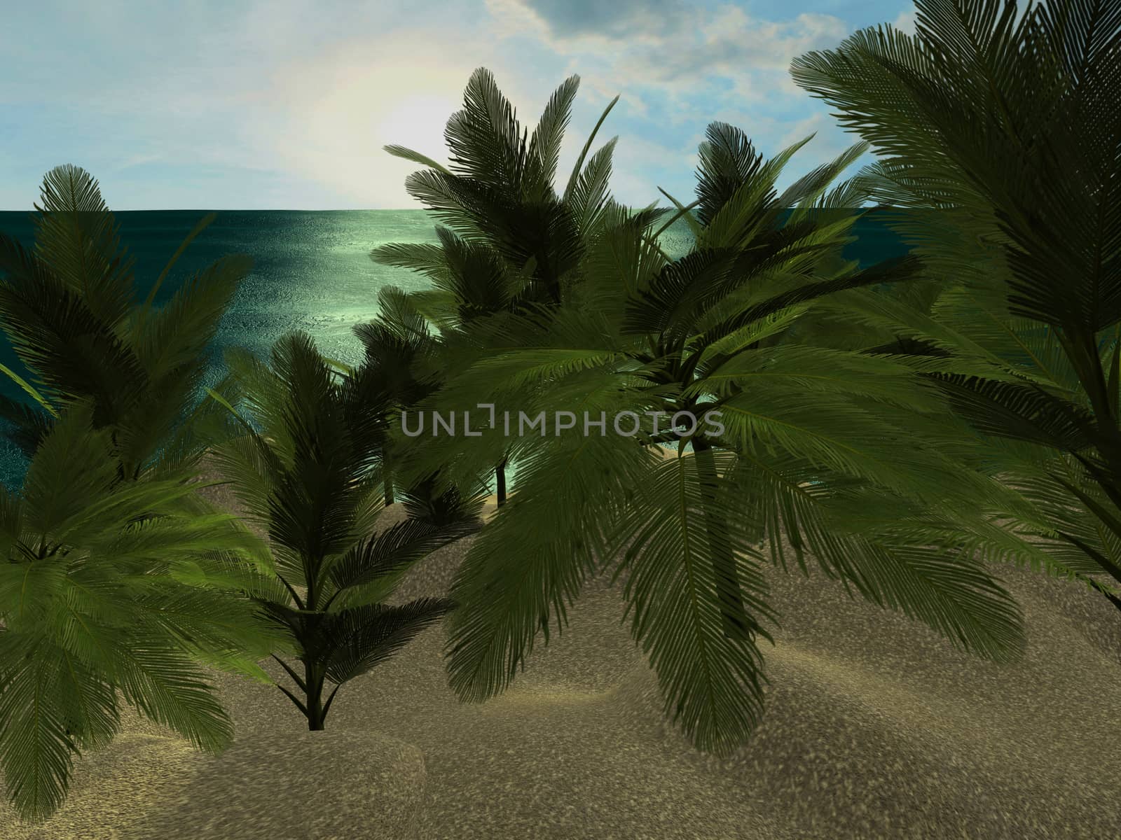 A tropical beach at daytime, with palm trees.