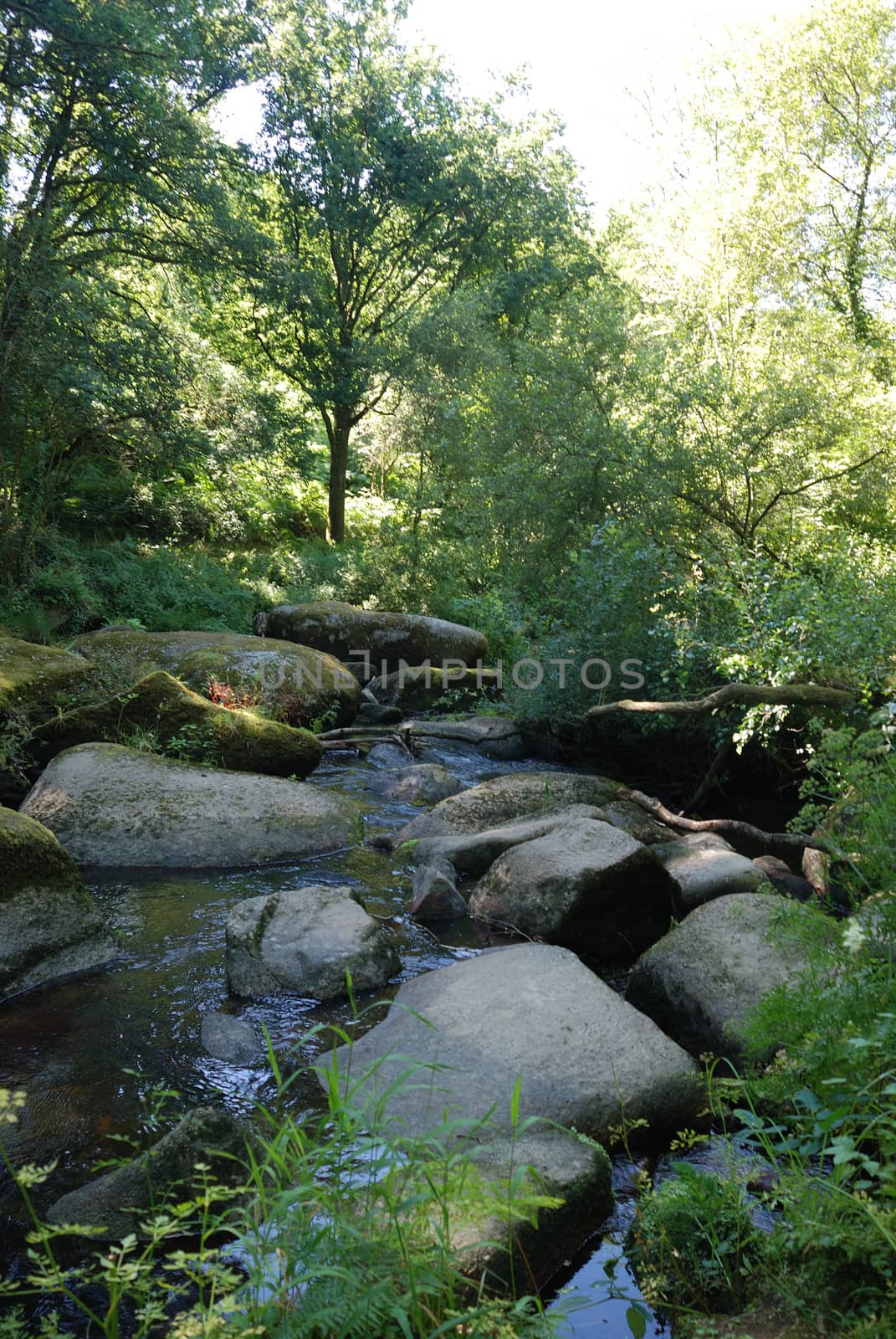Edge of the Gouet