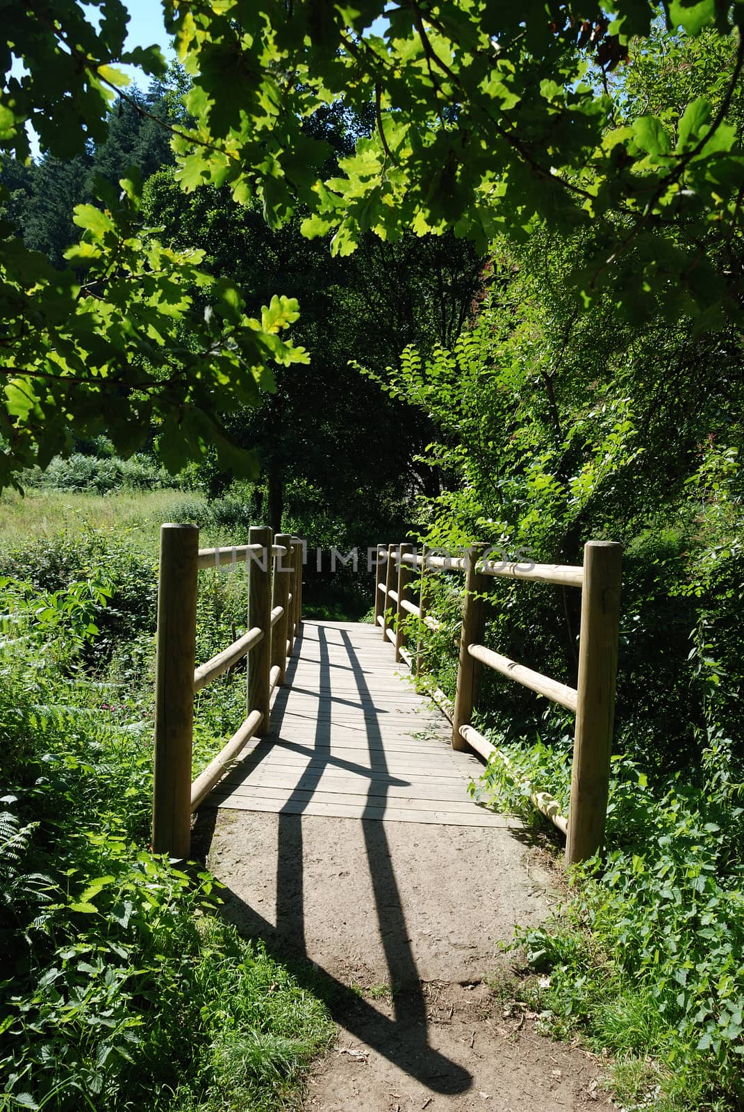 Wooden bridge over a river