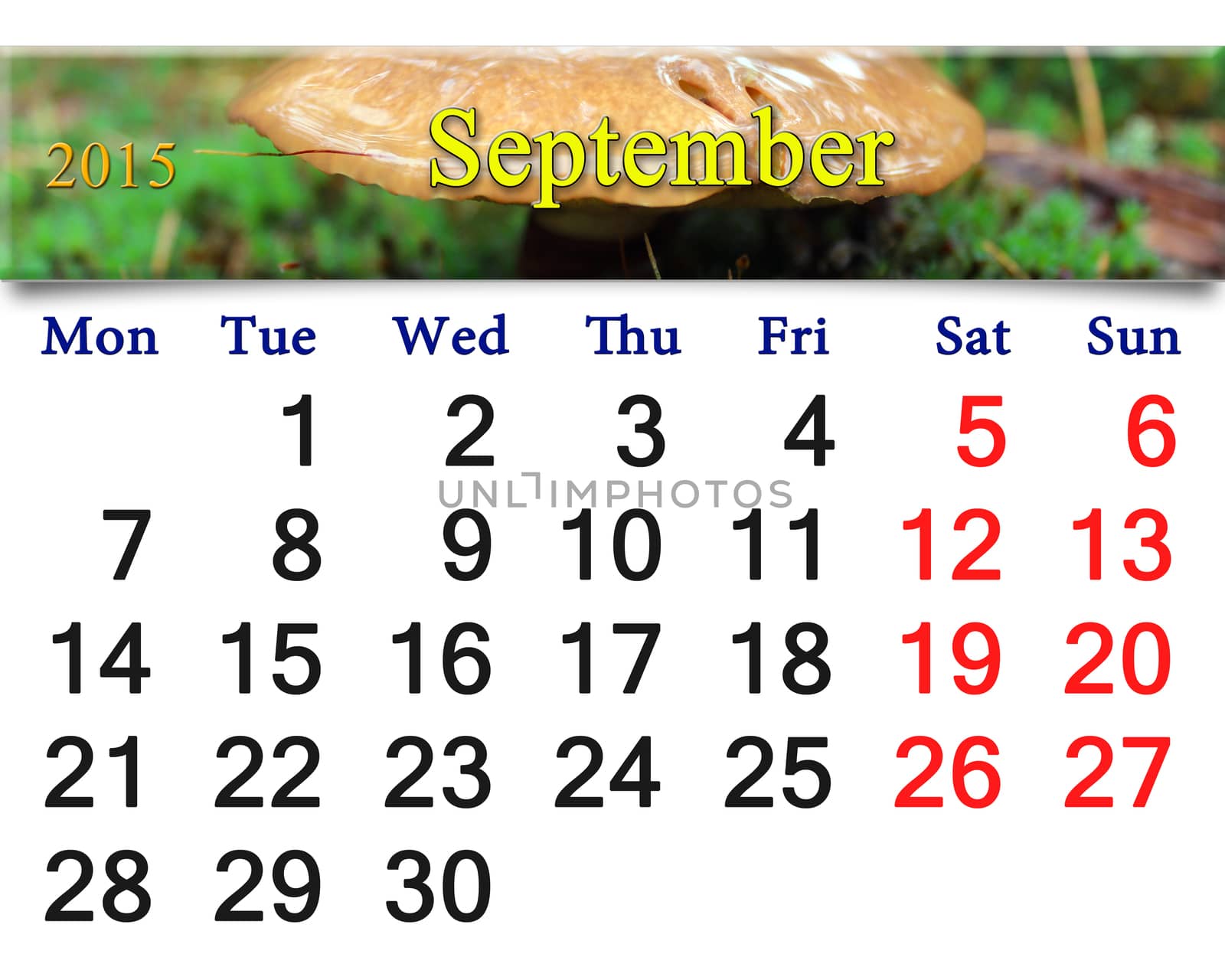 calendar for the September of 2014 on the background of mushrooms under a birch