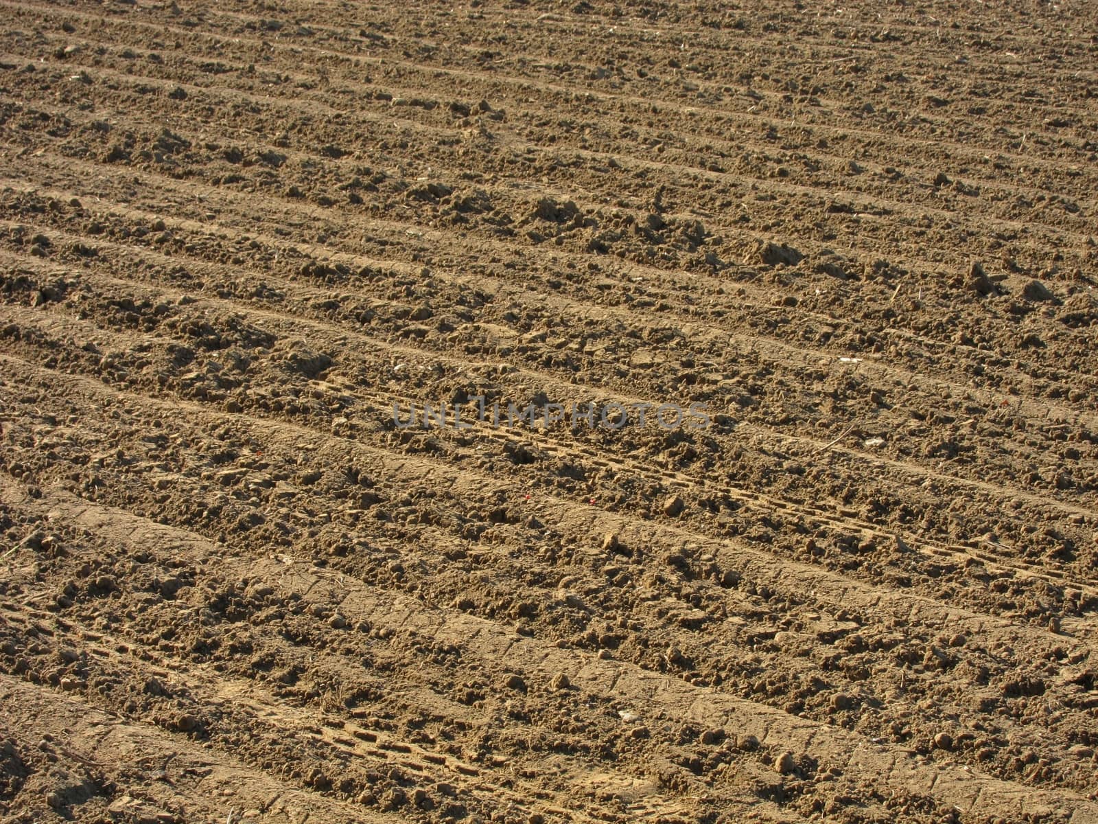 Ground before sown

