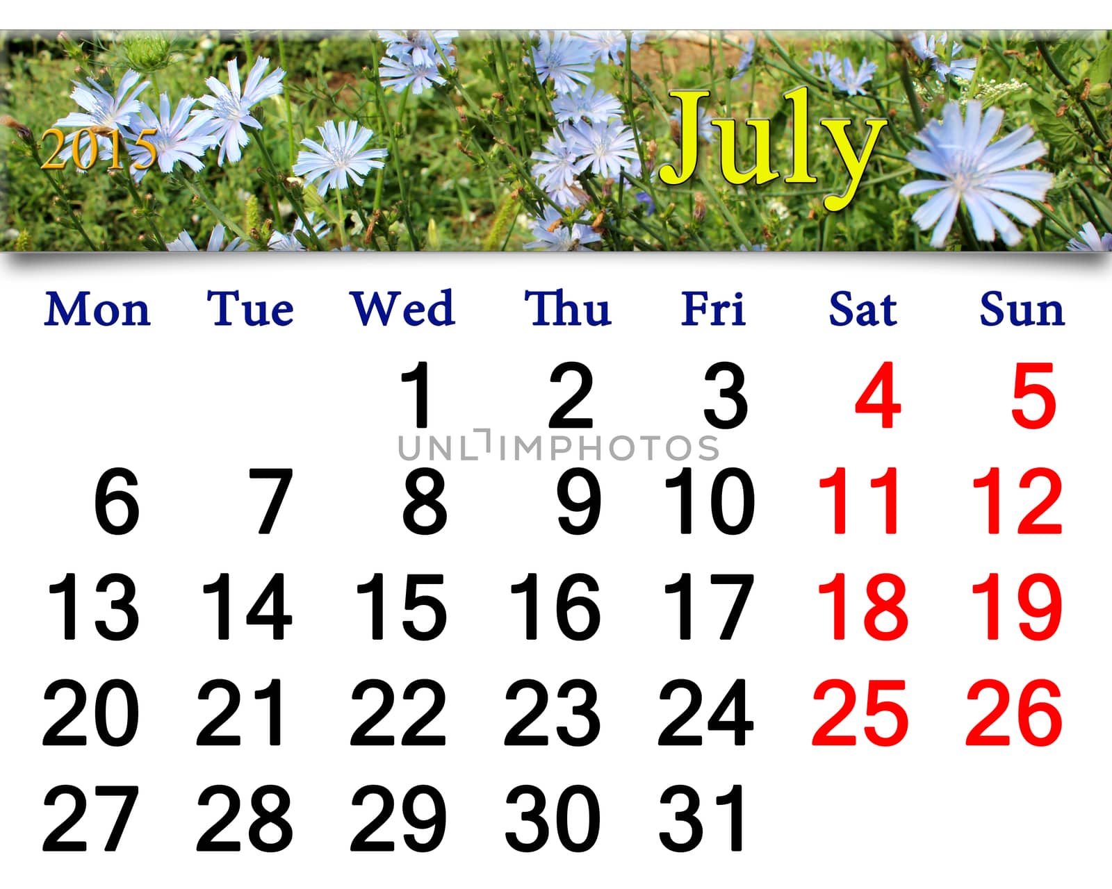 calendar for July of 2015 with Cichorium by alexmak