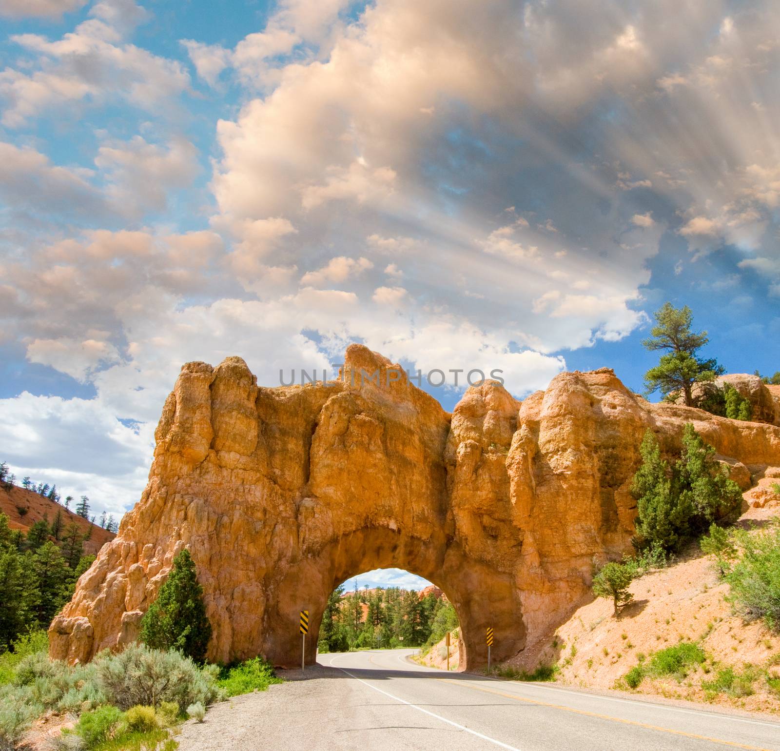 Arches National Park, USA - Entrance Road by jovannig