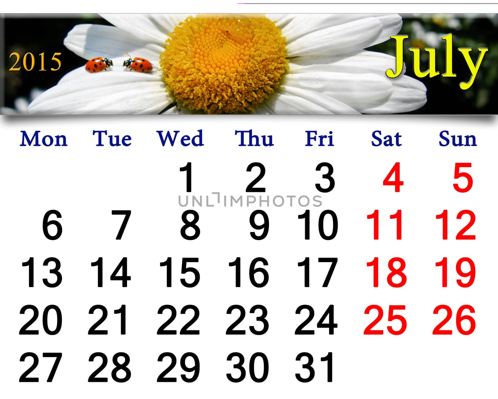 calendar for July of 2015 year with ribbon of ladybirds on the white camomile