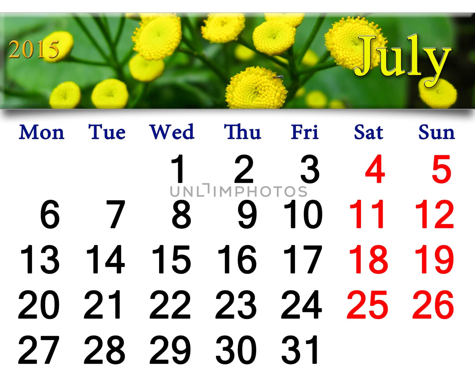 calendar for July of 2015 with yellow camomiles by alexmak