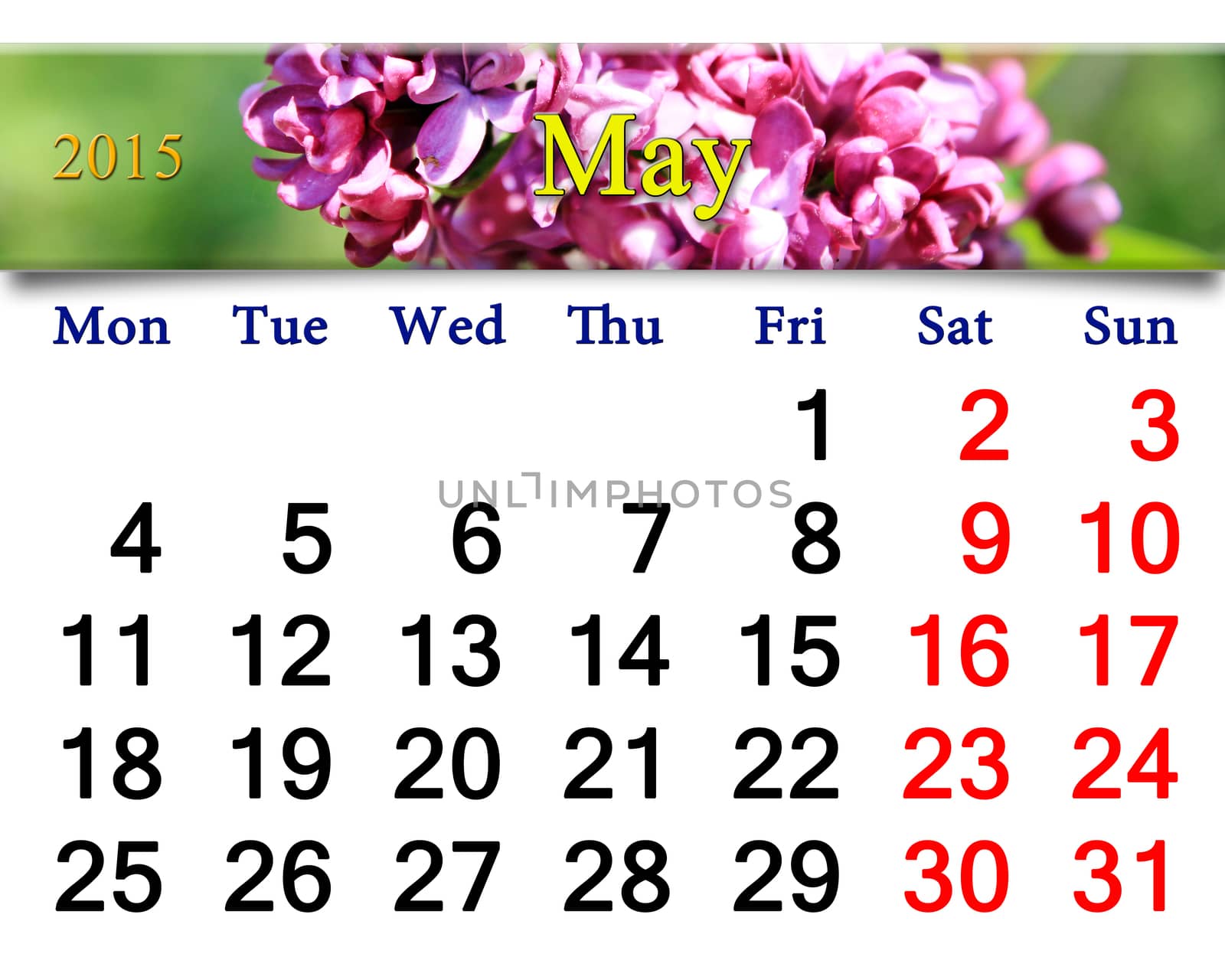 calendar for May of 2015 year with lilac by alexmak
