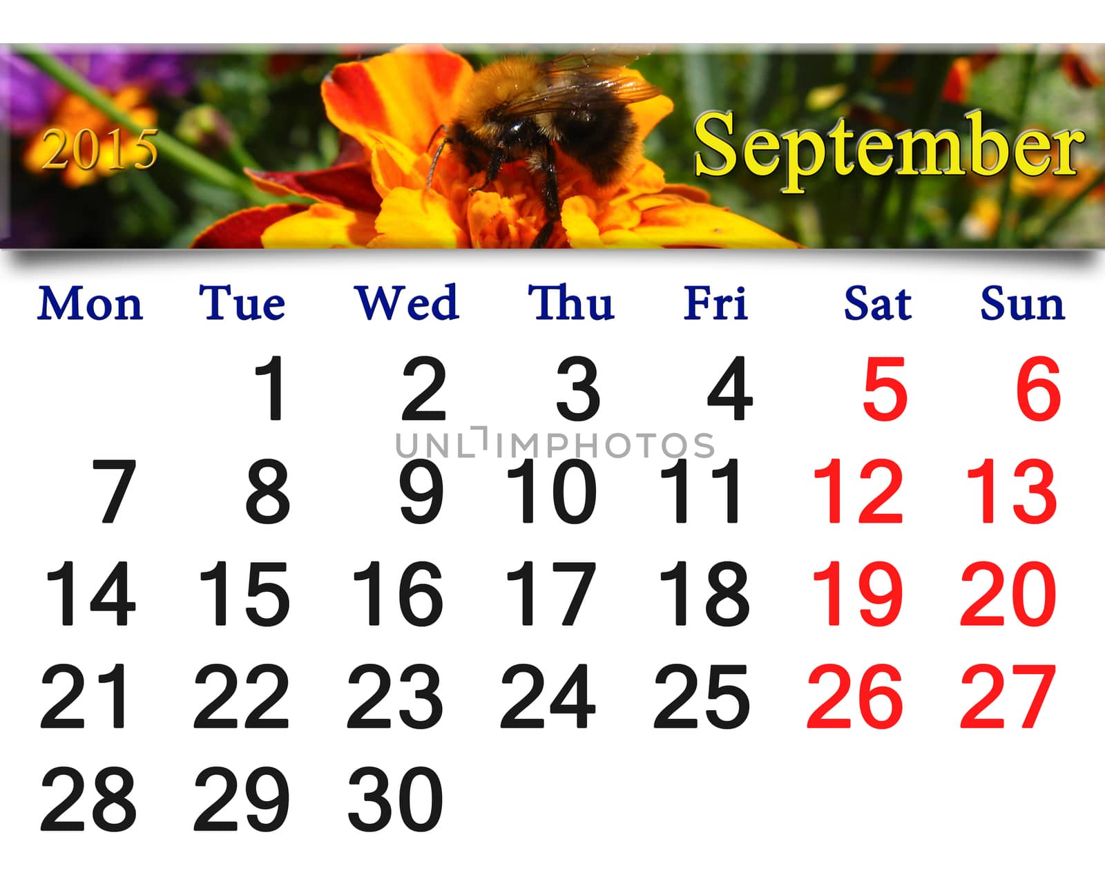 calendar for September of 2015 with bumblebee by alexmak