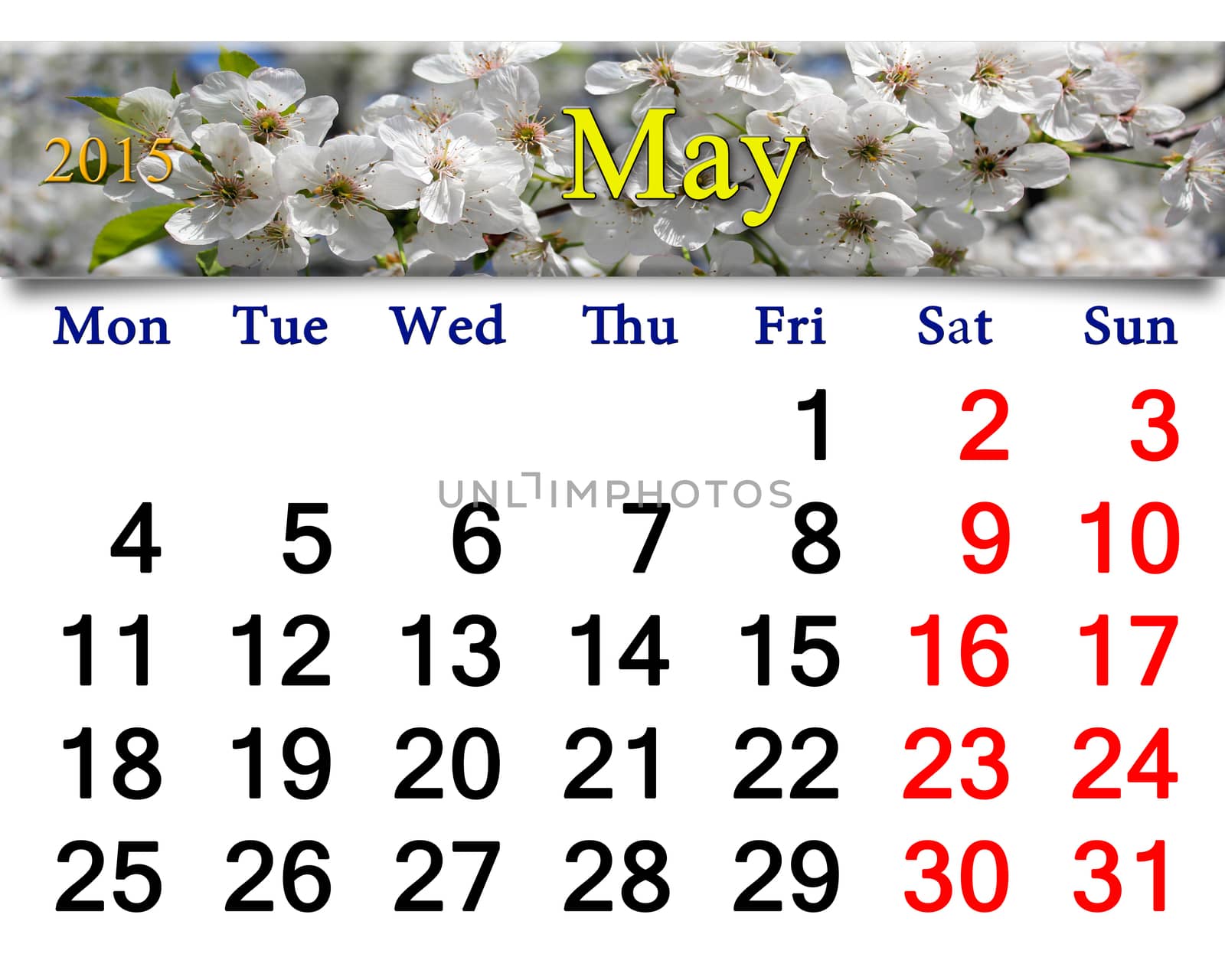 calendar for May of 2015 year with white blooming cherry