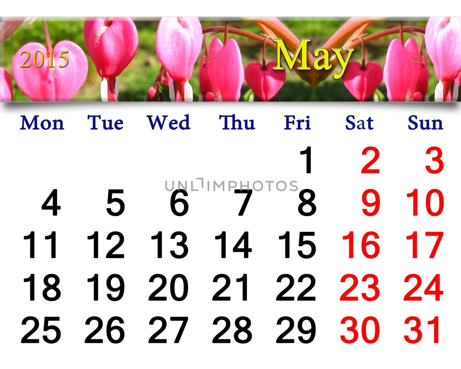 calendar for May of 2015 year with dicentra by alexmak