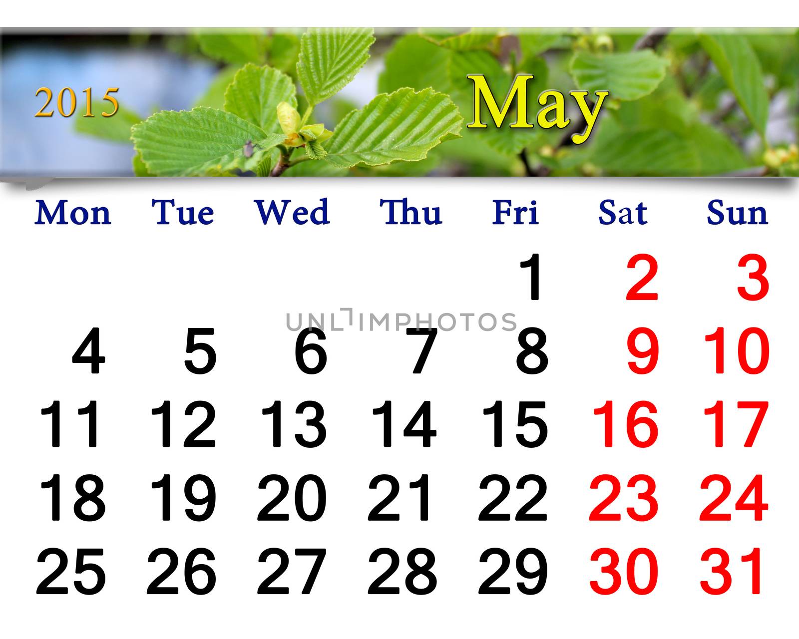 calendar for May of 2015 year with branch alder leaves ready for office life