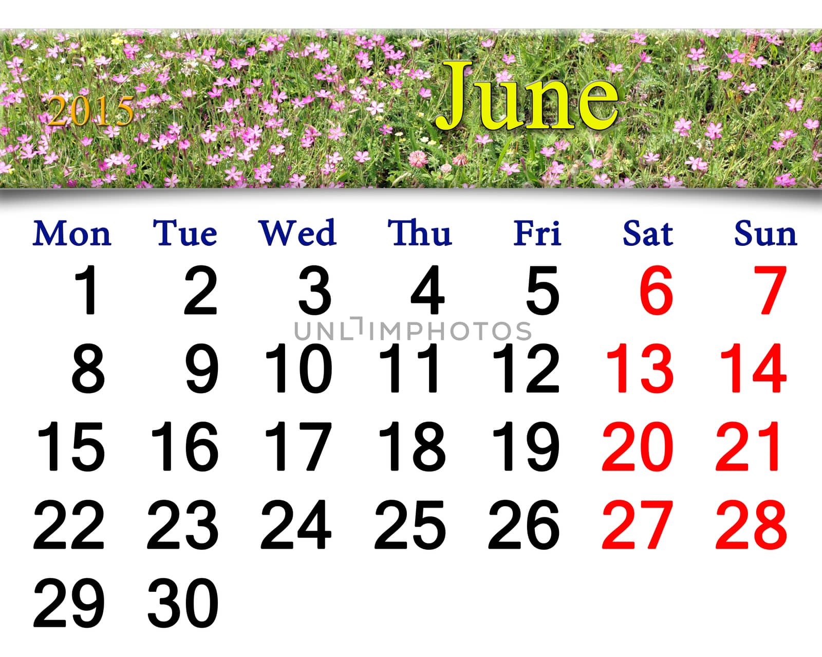 calendar for June of 2015 year with wild carnation by alexmak