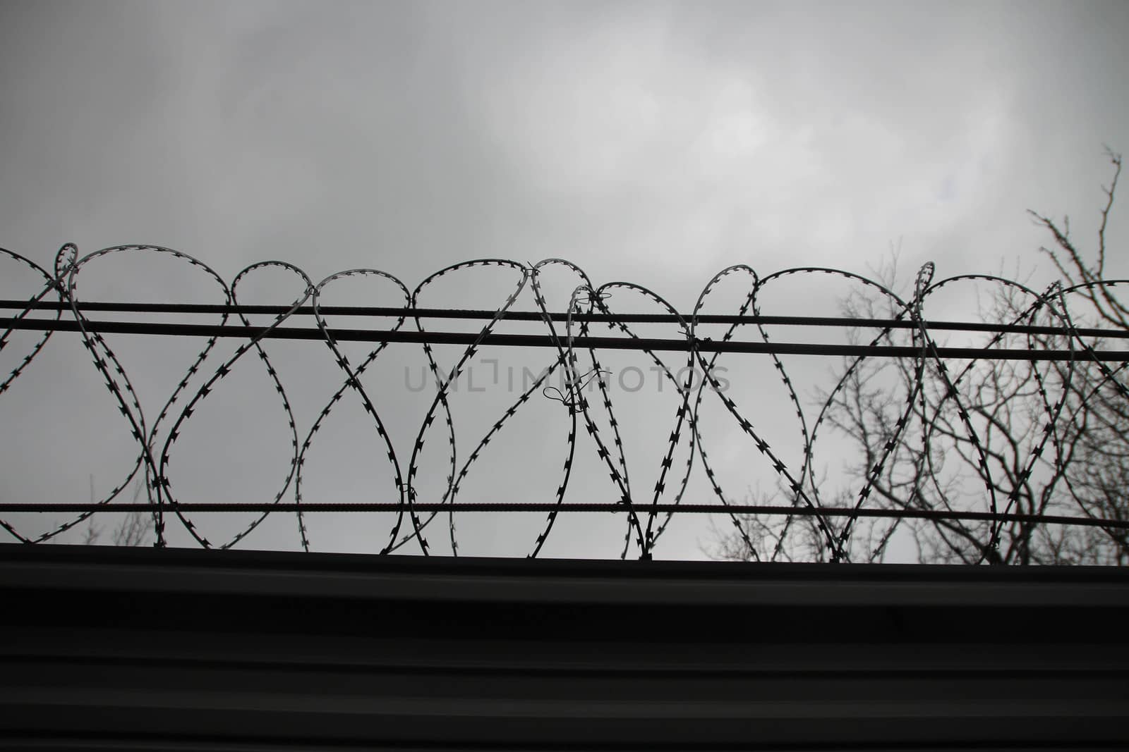 Barbed wire on the fence. Barbed wire on the fence. Prison freedom