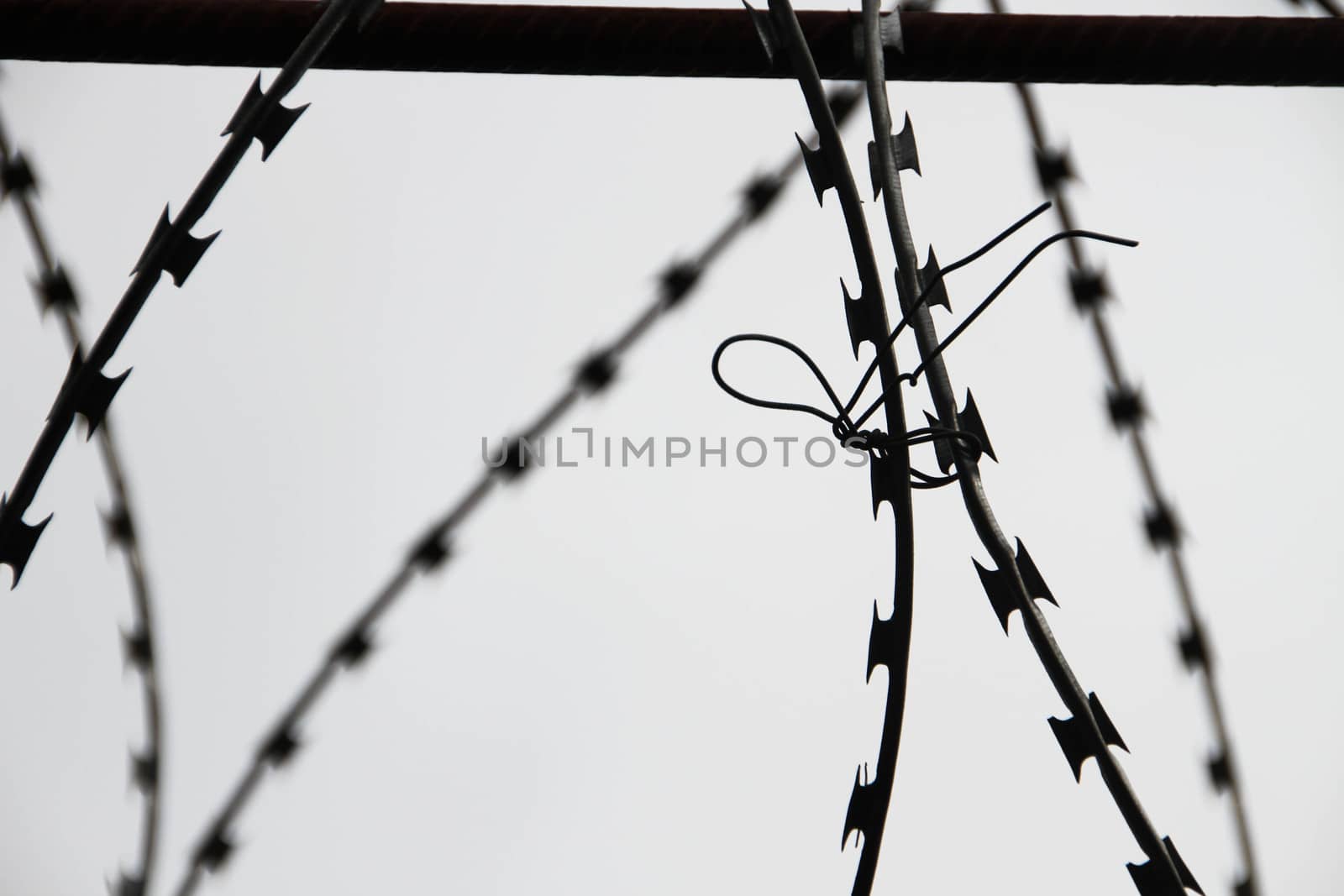 Barbed wire on the fence. Barbed wire on the fence. Prison freedom