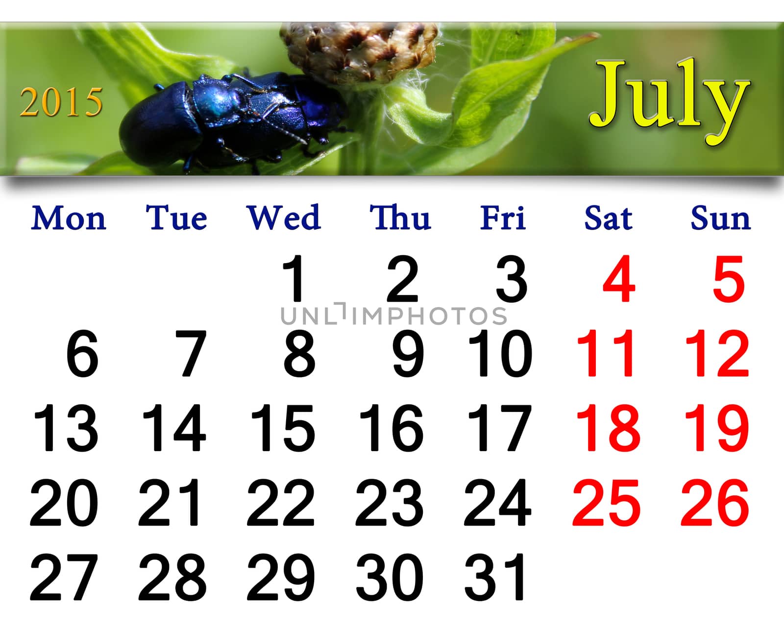 calendar for July of 2015 with blue beetles by alexmak