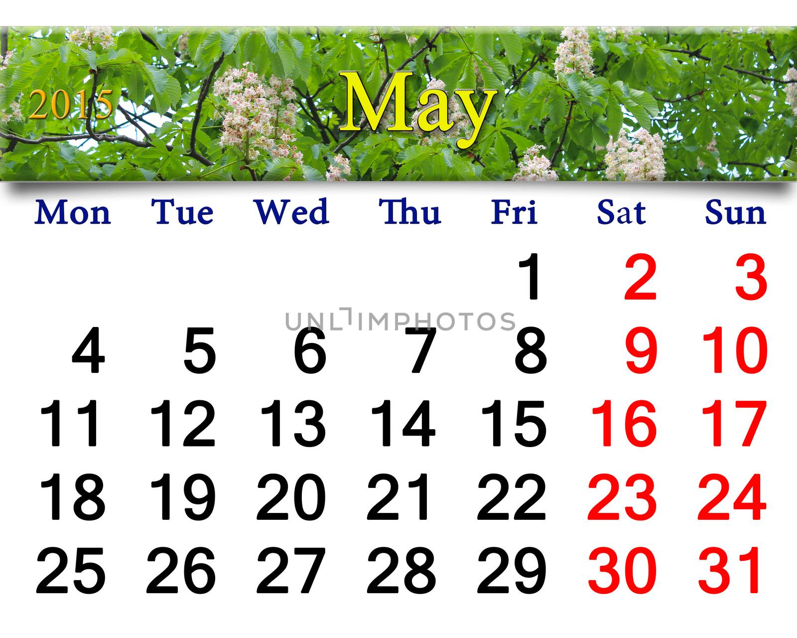 calendar for May of 2015 year with chestnut by alexmak