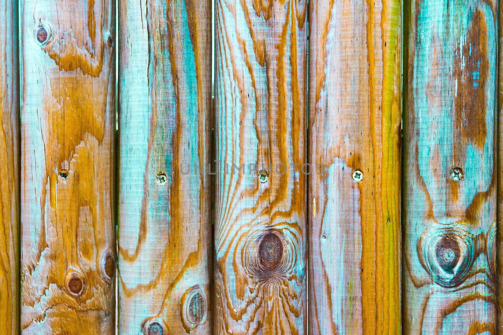 Vivid colours on wooden fence poles