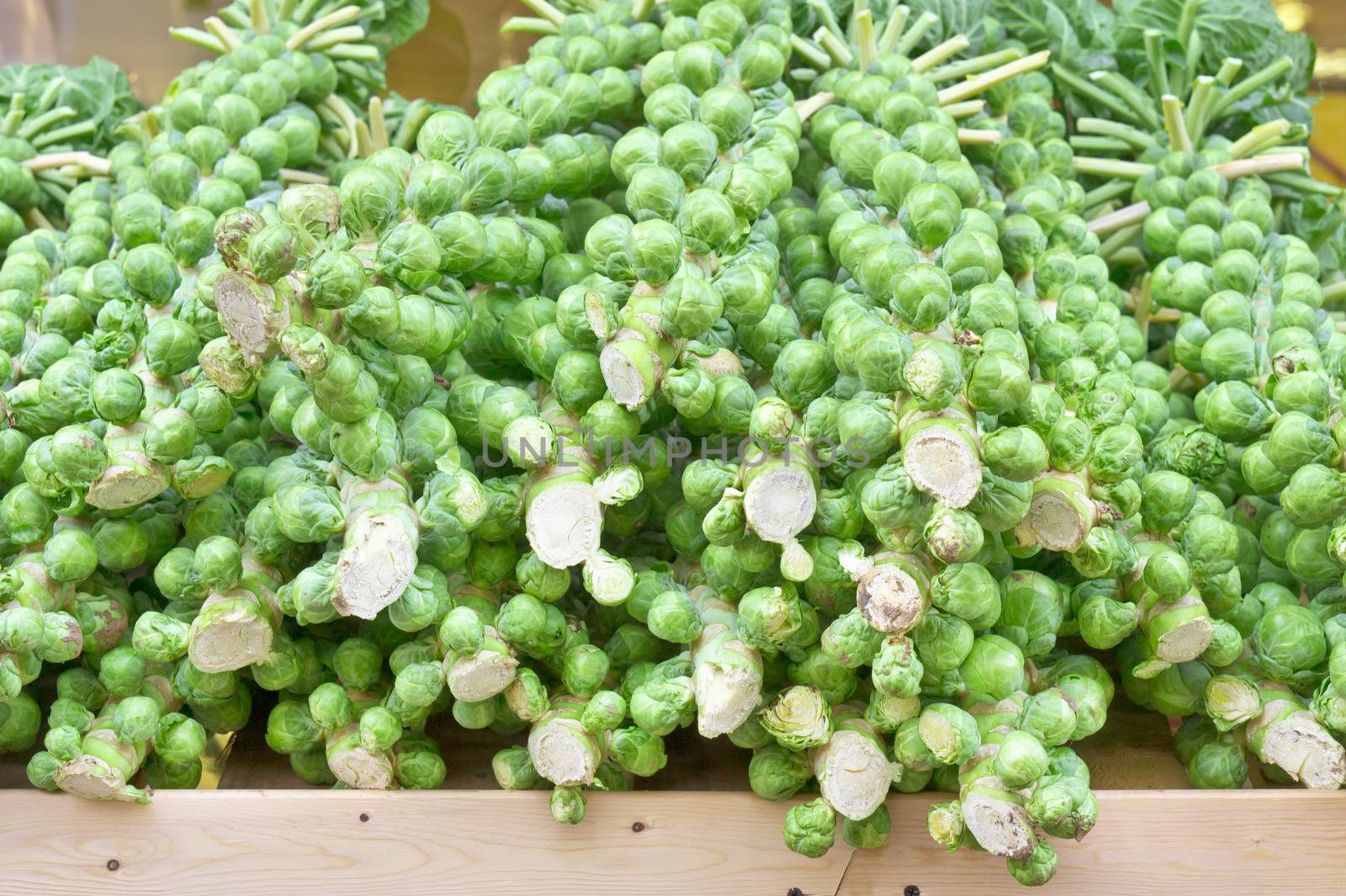 Crate of Brussel sprouts at an english market