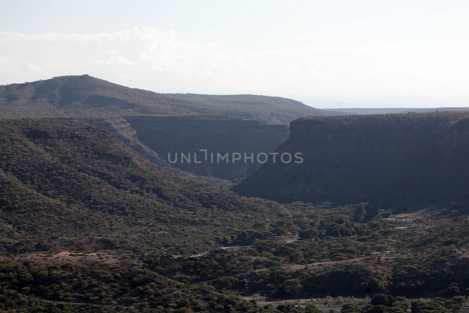 Awash National Park Ethiopia