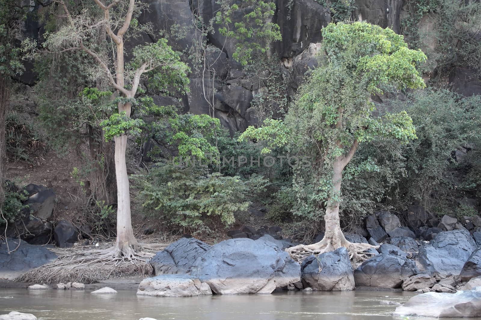 Awash River Ethiopia