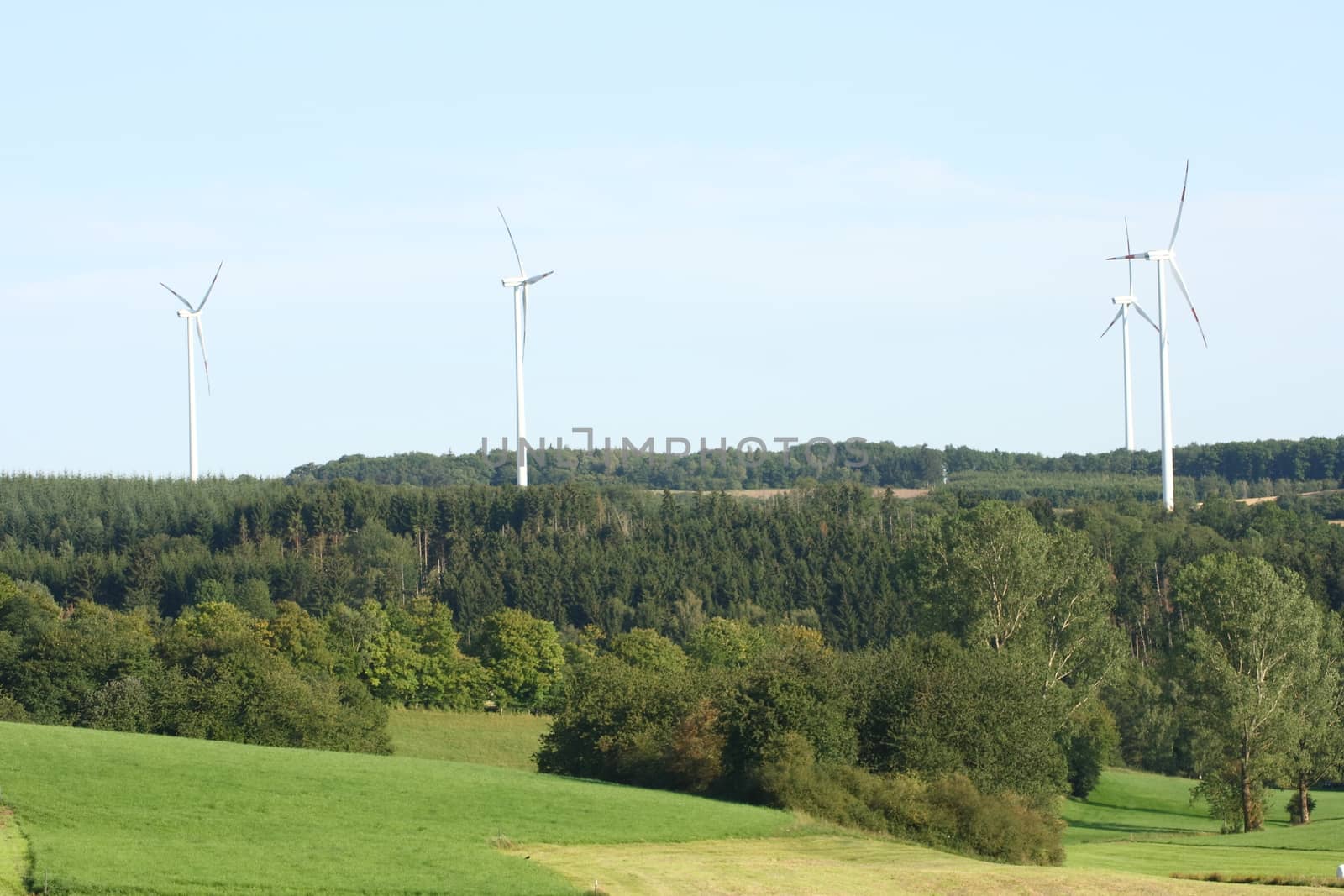 Woodlands, with several wind turbines