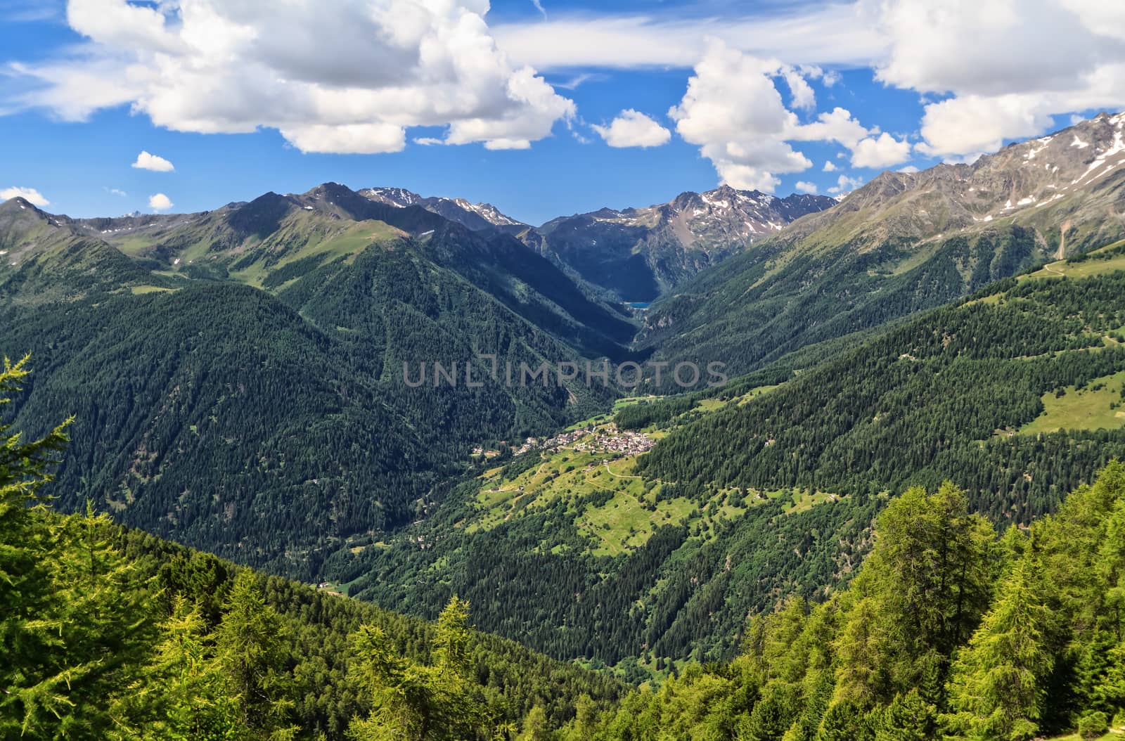 Pejo valley with Vioz and Cevedale mountains, Trentino, Italy