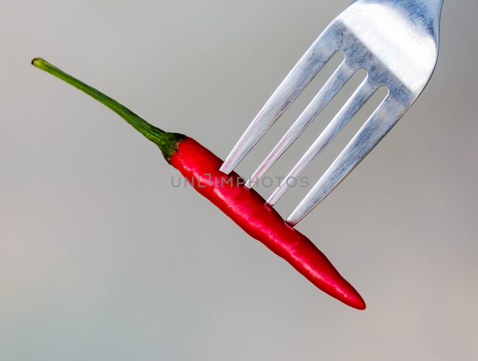 Chilli On Fork Indicates Red Pepper And Cayenne by stuartmiles