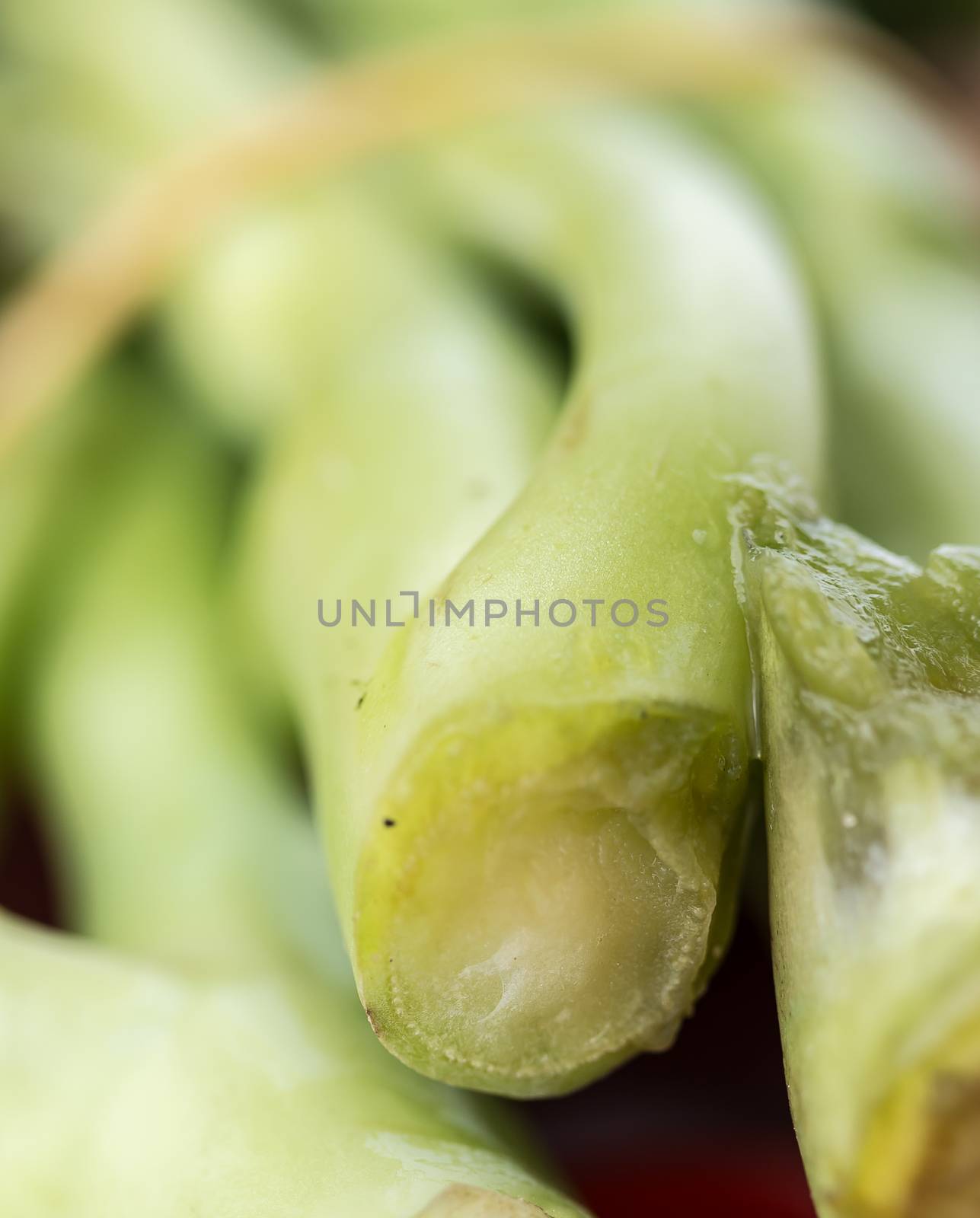 Green Vegetables Indicates Health Food And Greens by stuartmiles