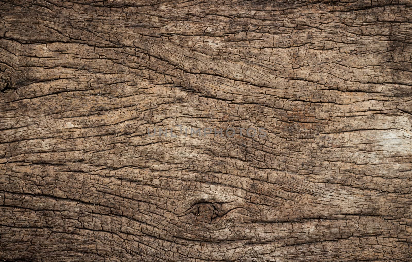 close up old grunge wood texture by blackzheep