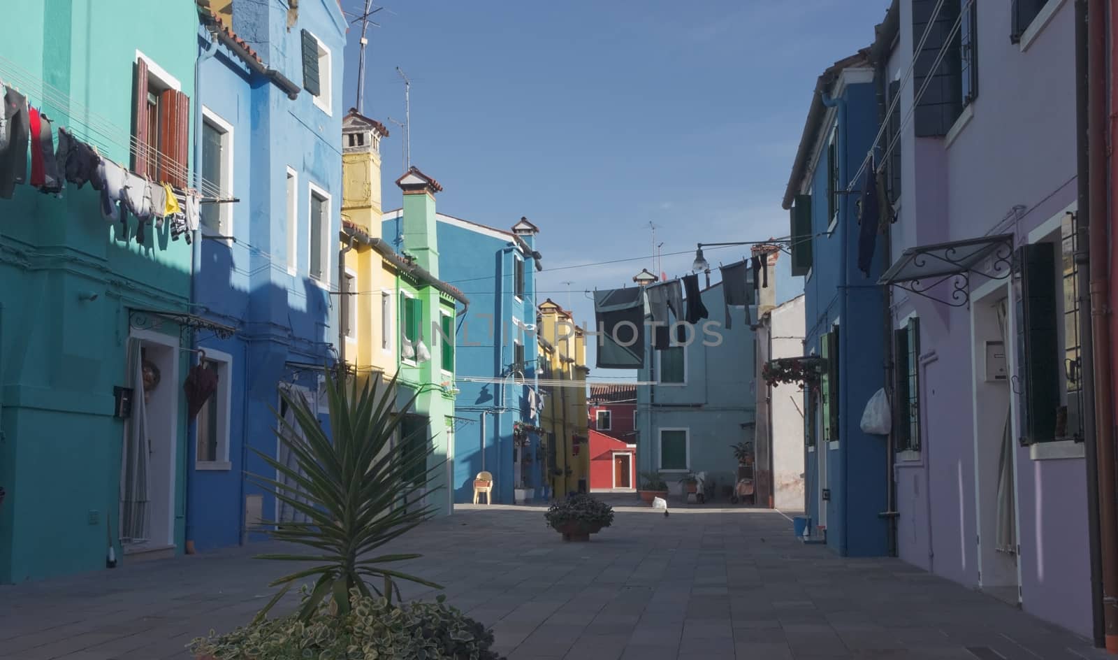 Colorful houses on the island of Burano near Venice