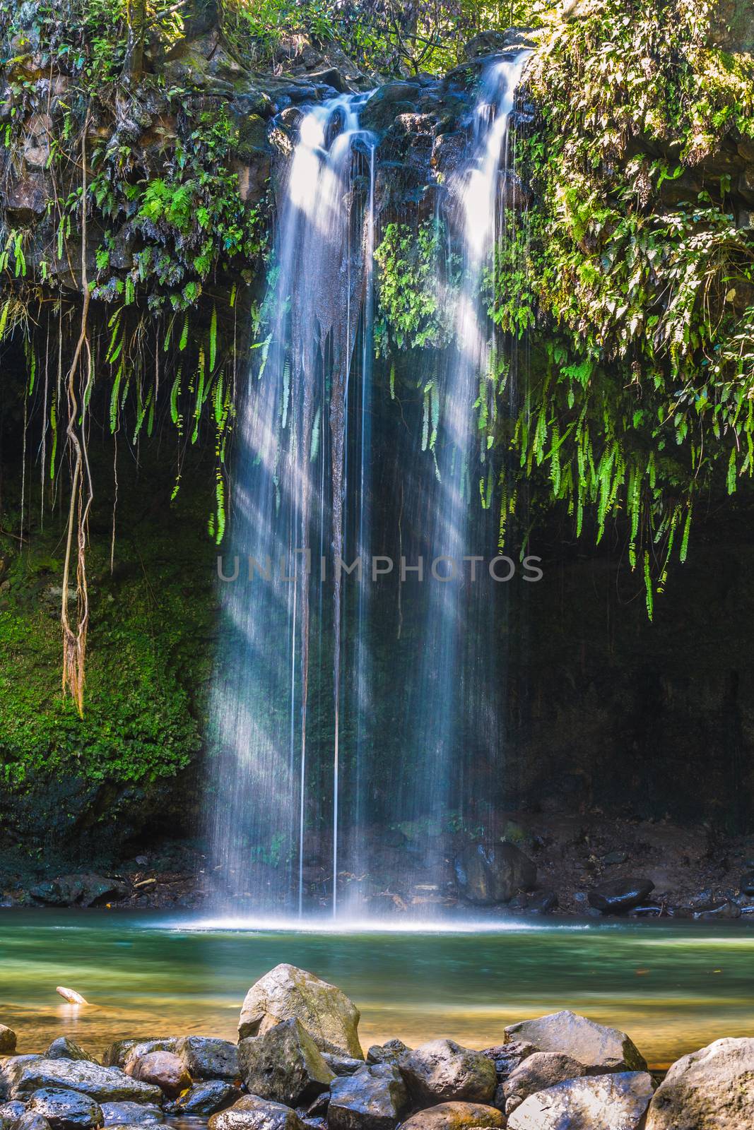 Sunlight coming through waterfall in Maui Hawaii