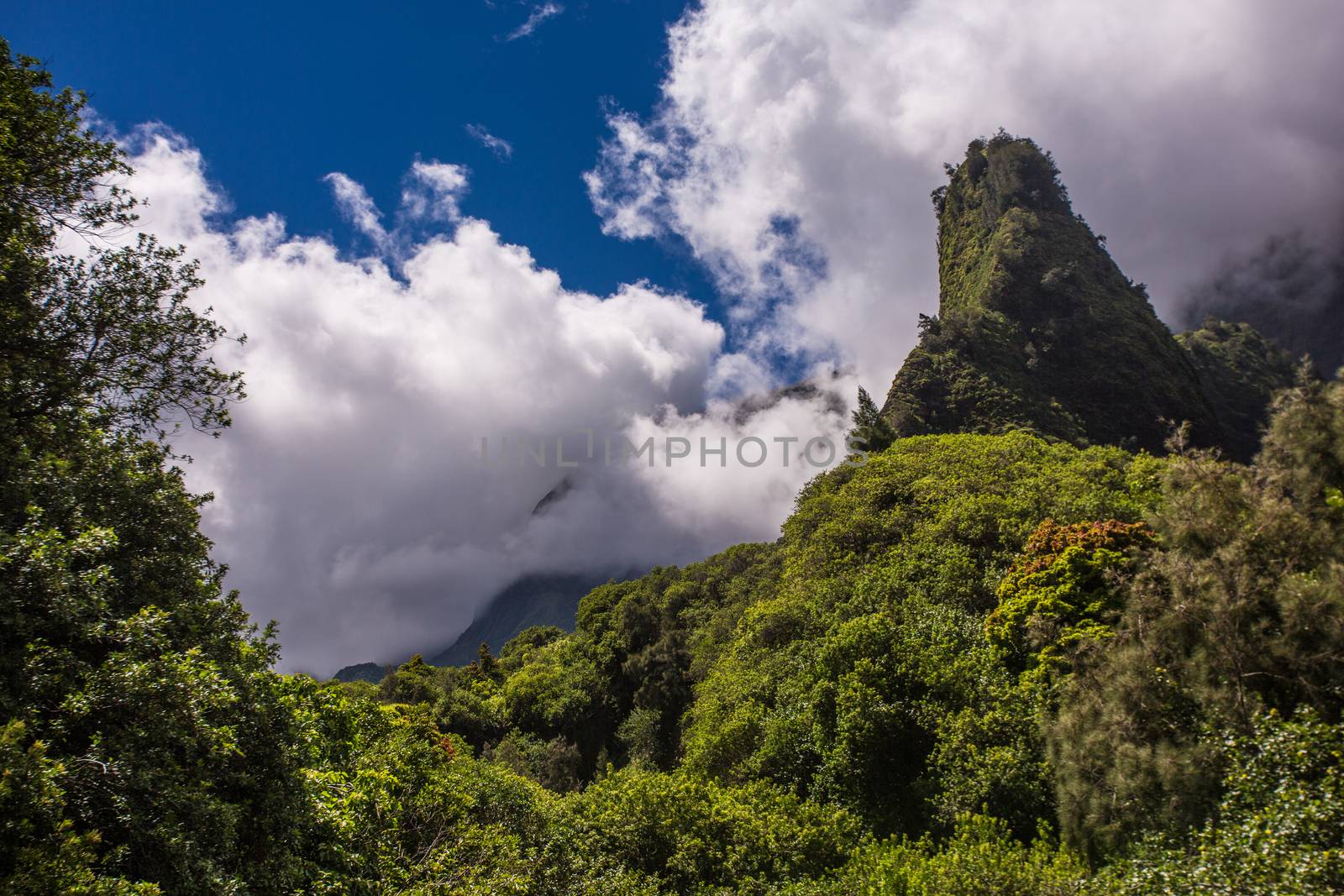 Natural geographic needle in the Iao Valley Rainforest