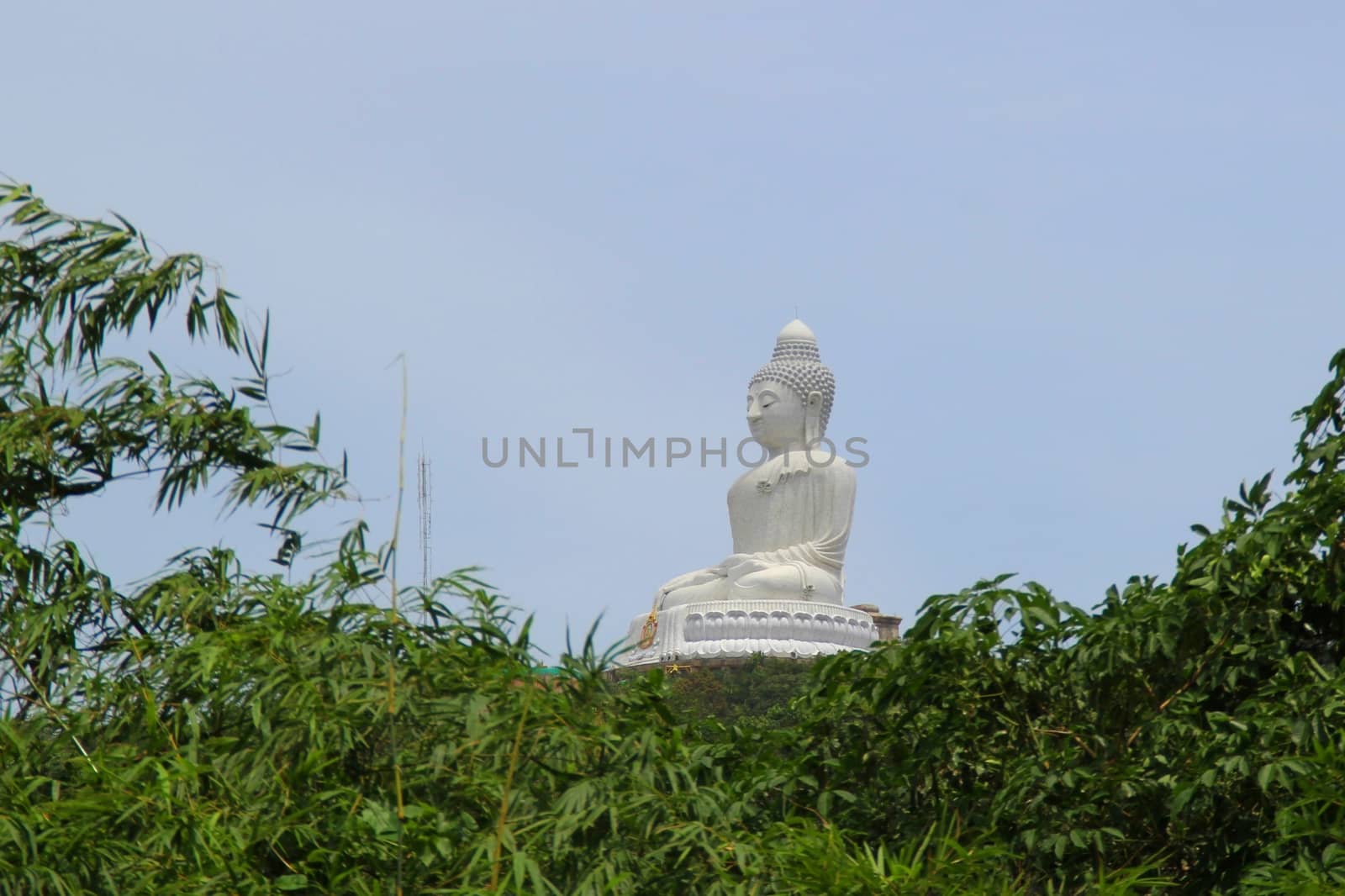 View of the Big Budha of Phuket throught the trees