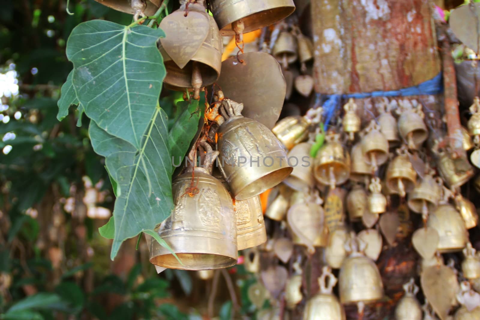 Collection of Budist bells hanging from a tree