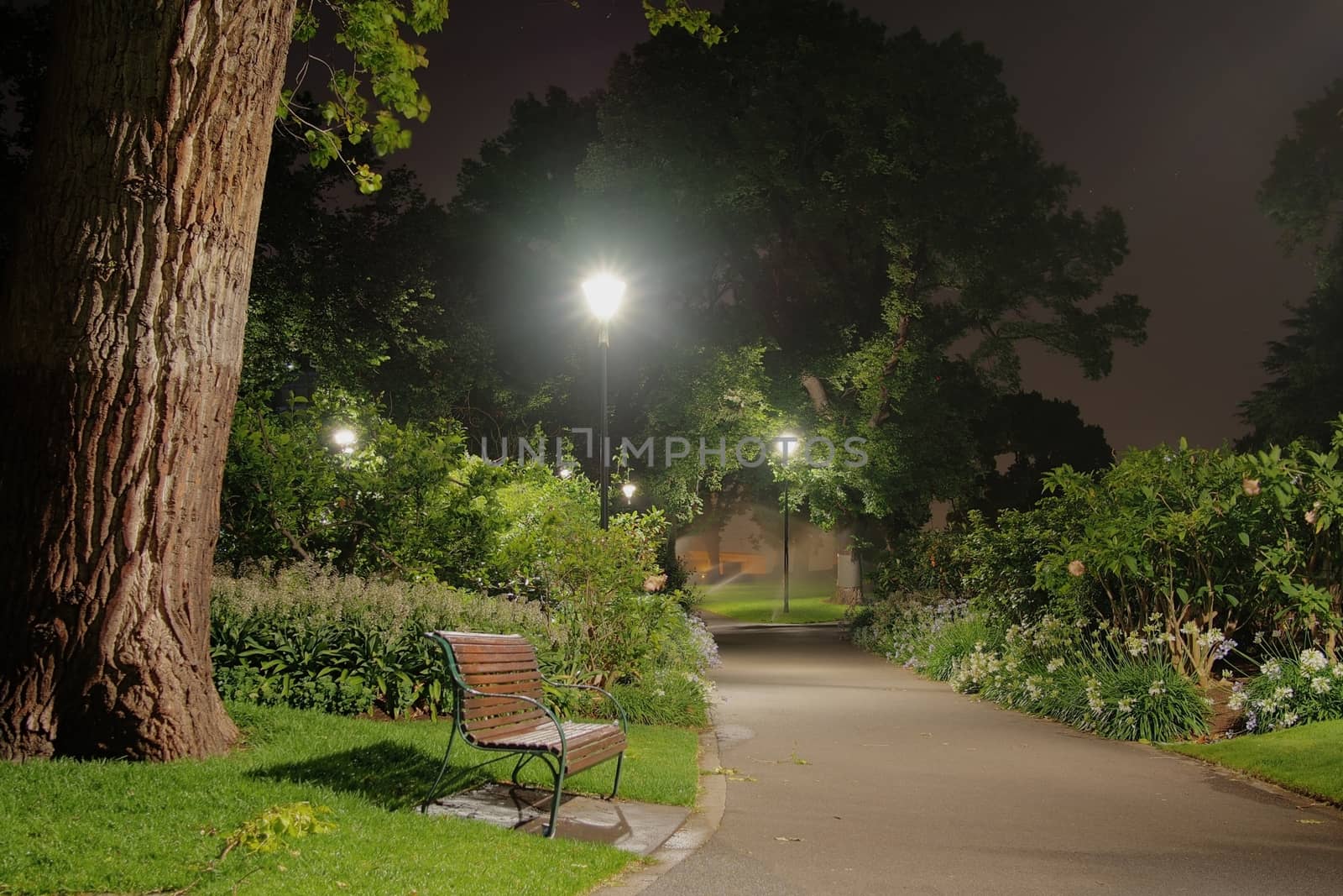 Wooden bench in the park at Night