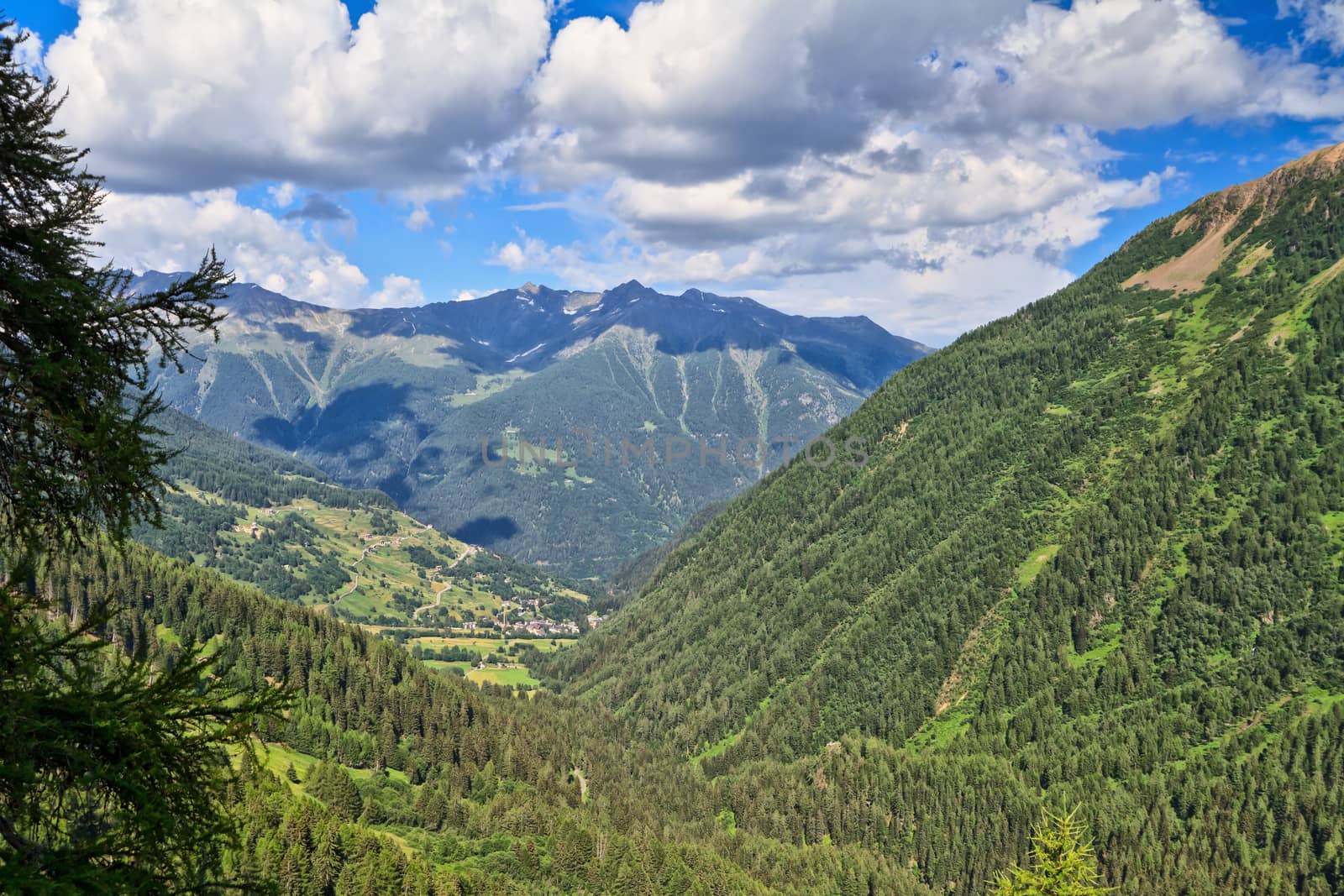 overview of Pejo Valley in Val di Sole, Trentino, Italy