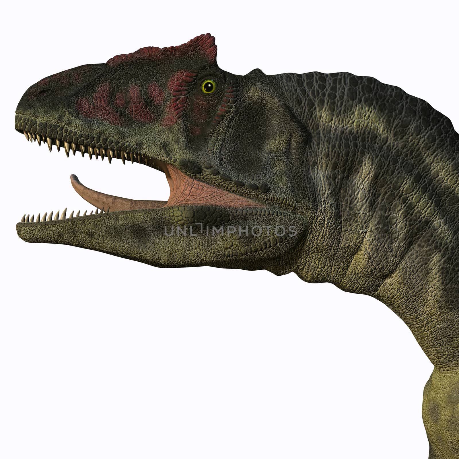 Allosaurus Head by Catmando