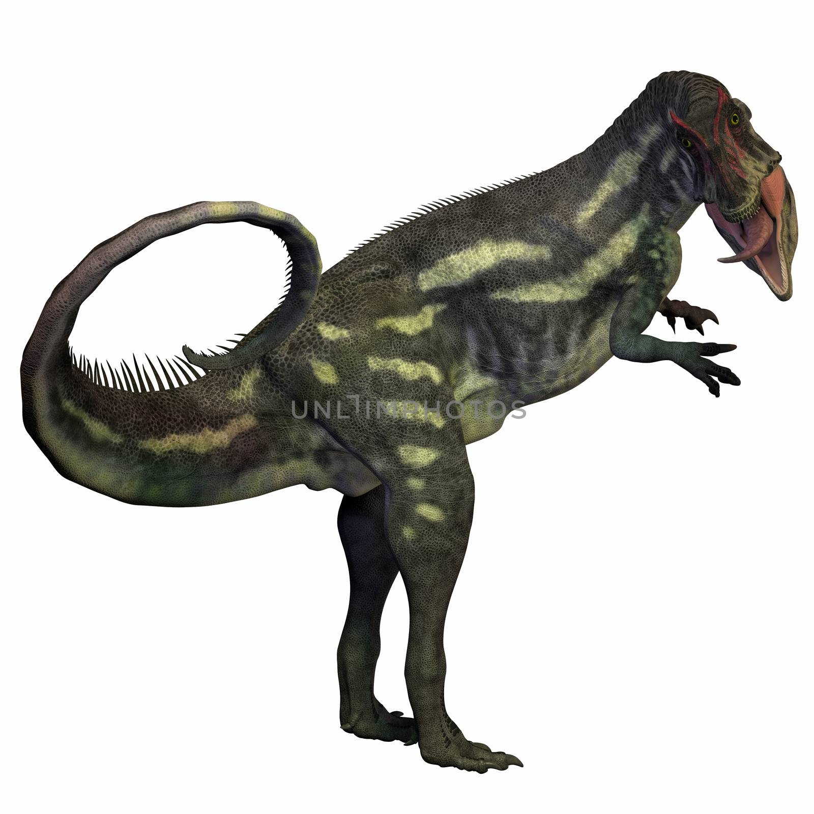 Allosaurus was a carnivorous theropod dinosaur in the Late Jurassic Period of North America.