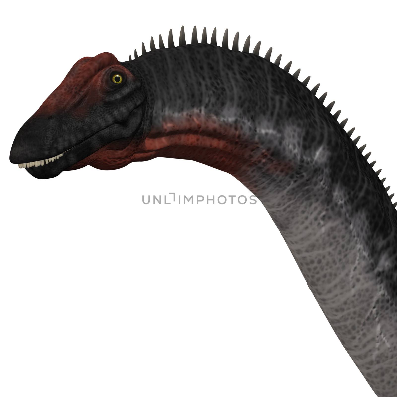 Apatosaurus Head by Catmando