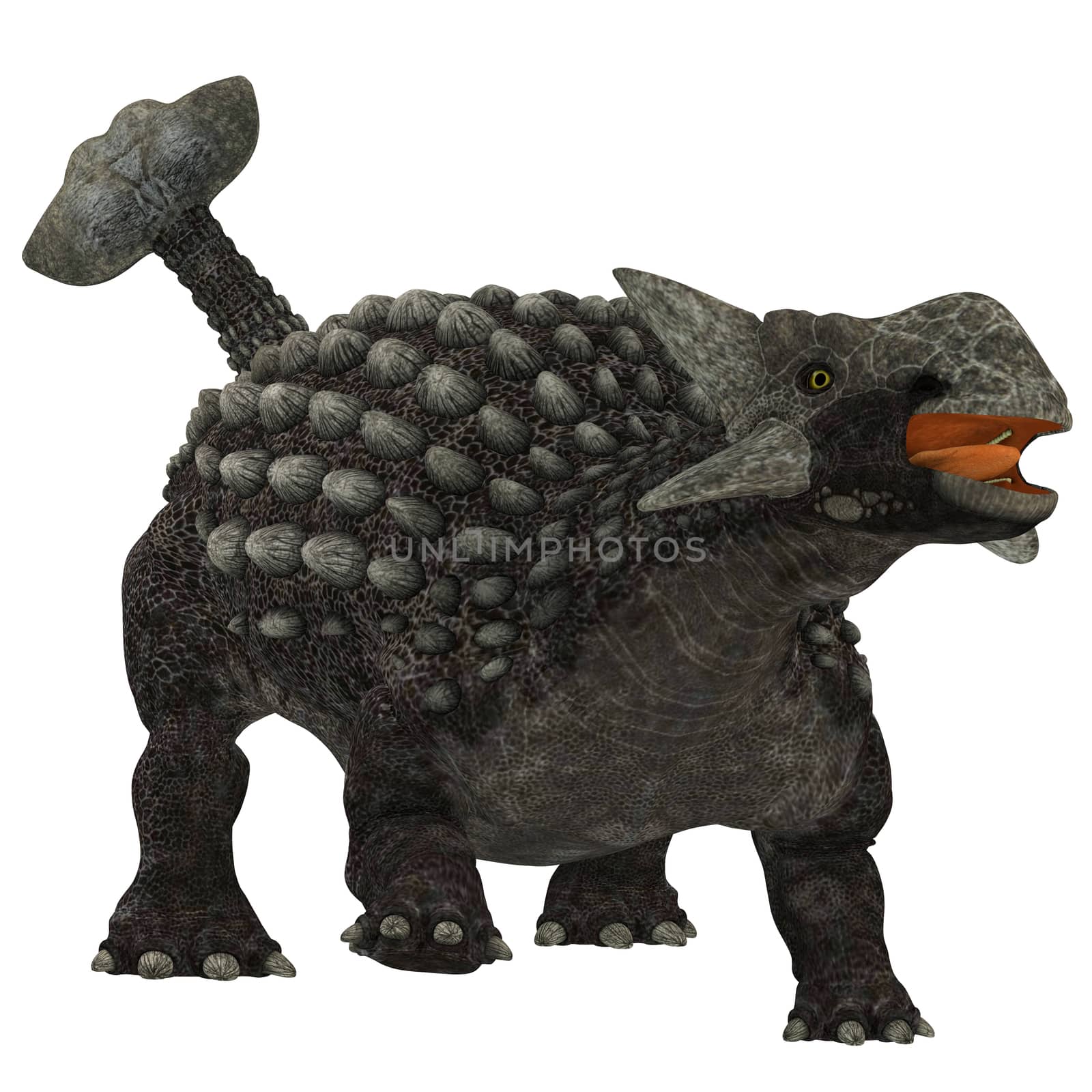 Ankylosaurus over White by Catmando