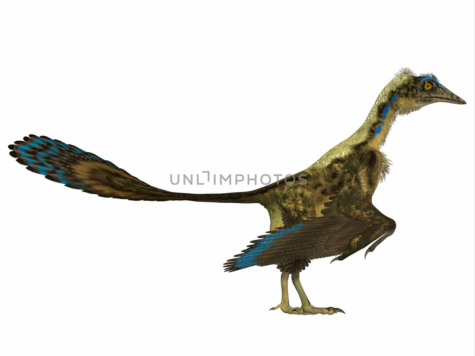 Archaeopteryx Side Profile by Catmando