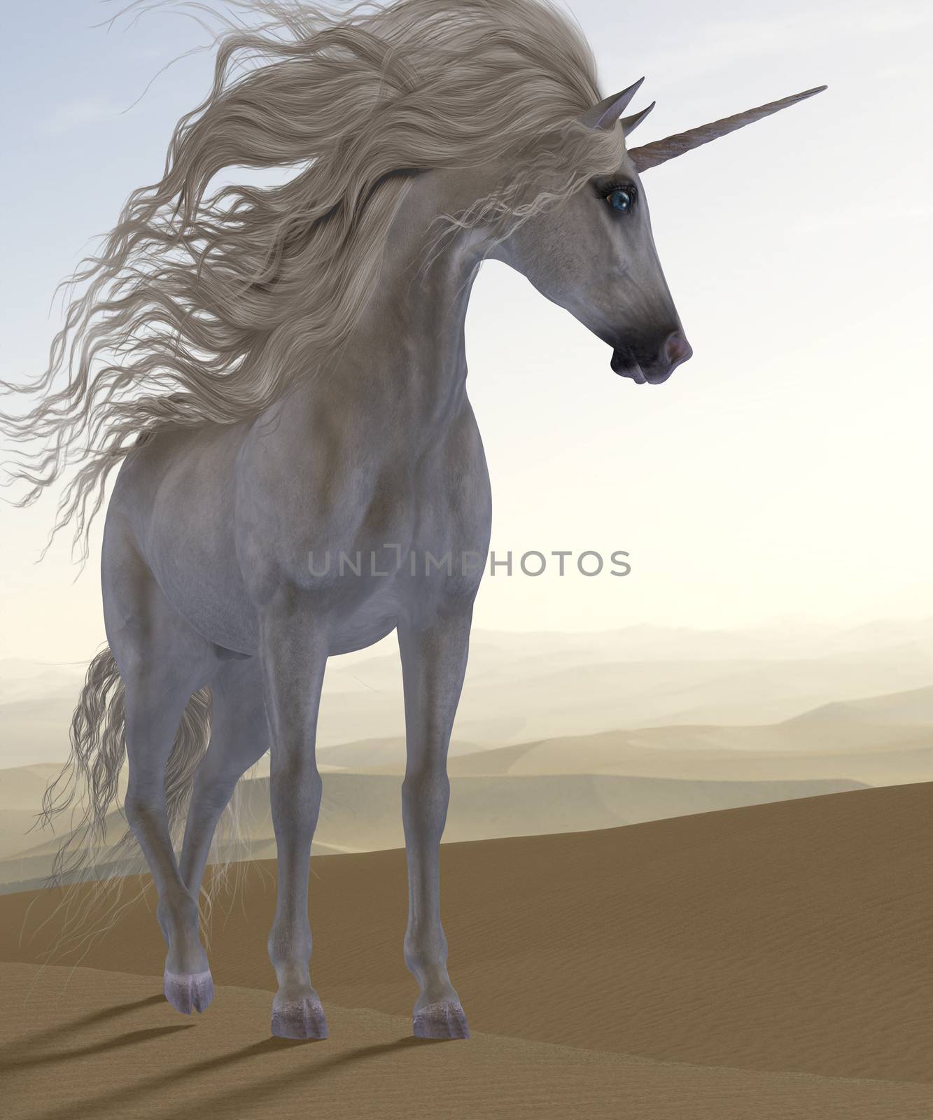 A Unicorn is a creature of fantasy and mythology which has a horn on its head and cloven hooves.