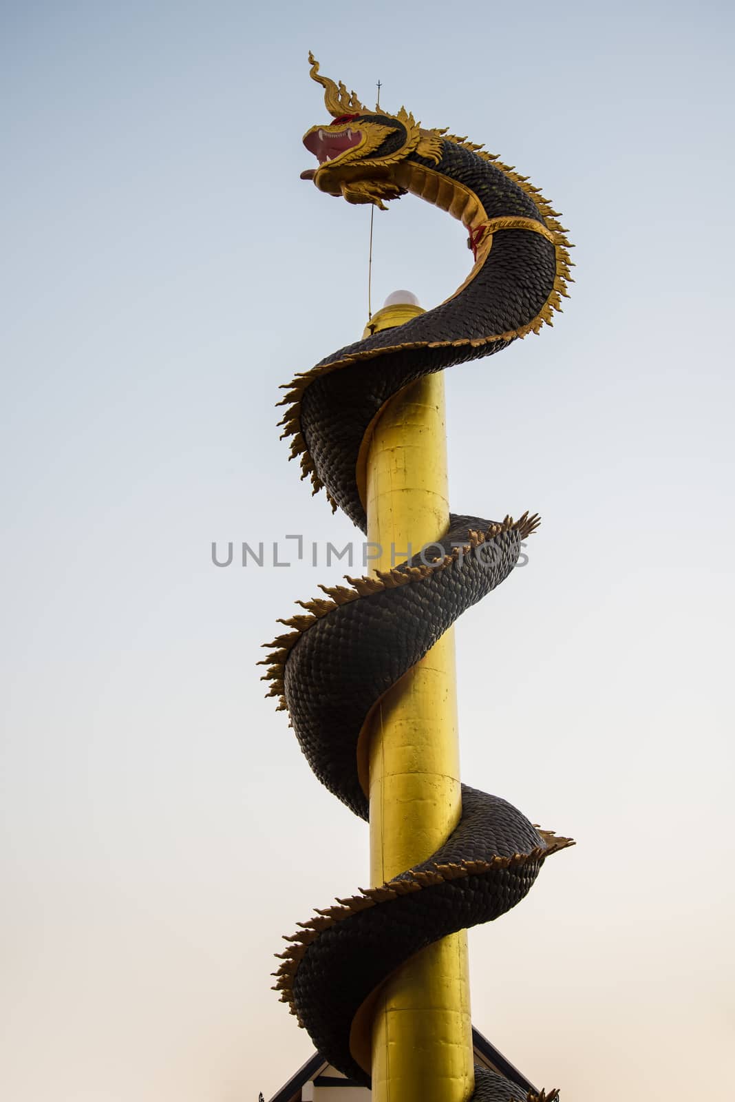 Dragon pillars in the sunset. Shrine