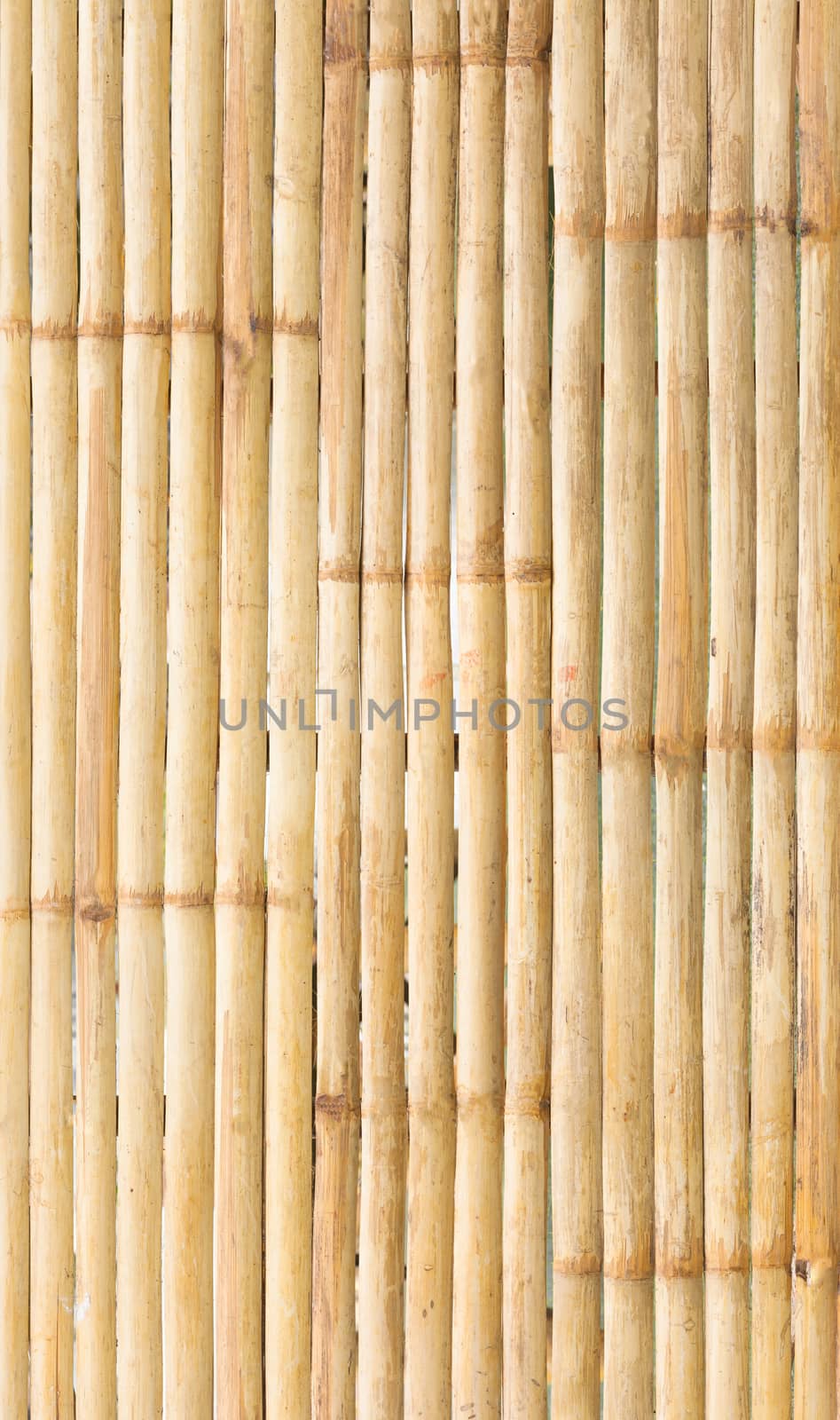 grunge yellow bamboo background and texture.