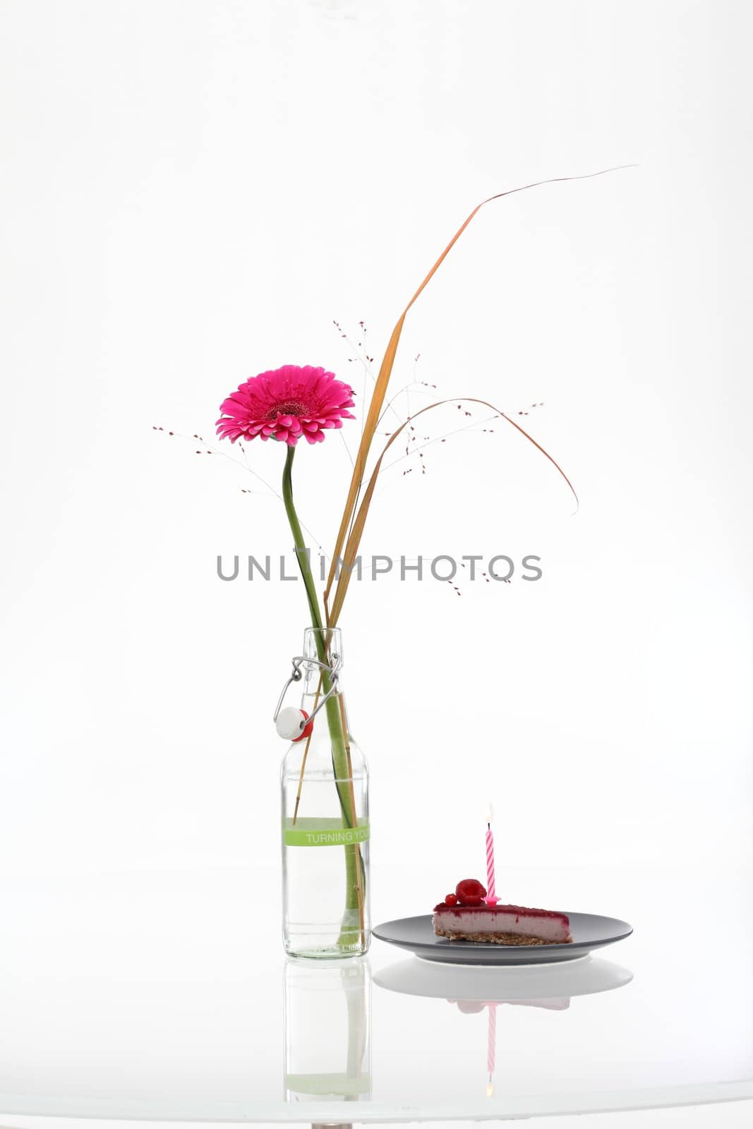 Flower with cheese cake