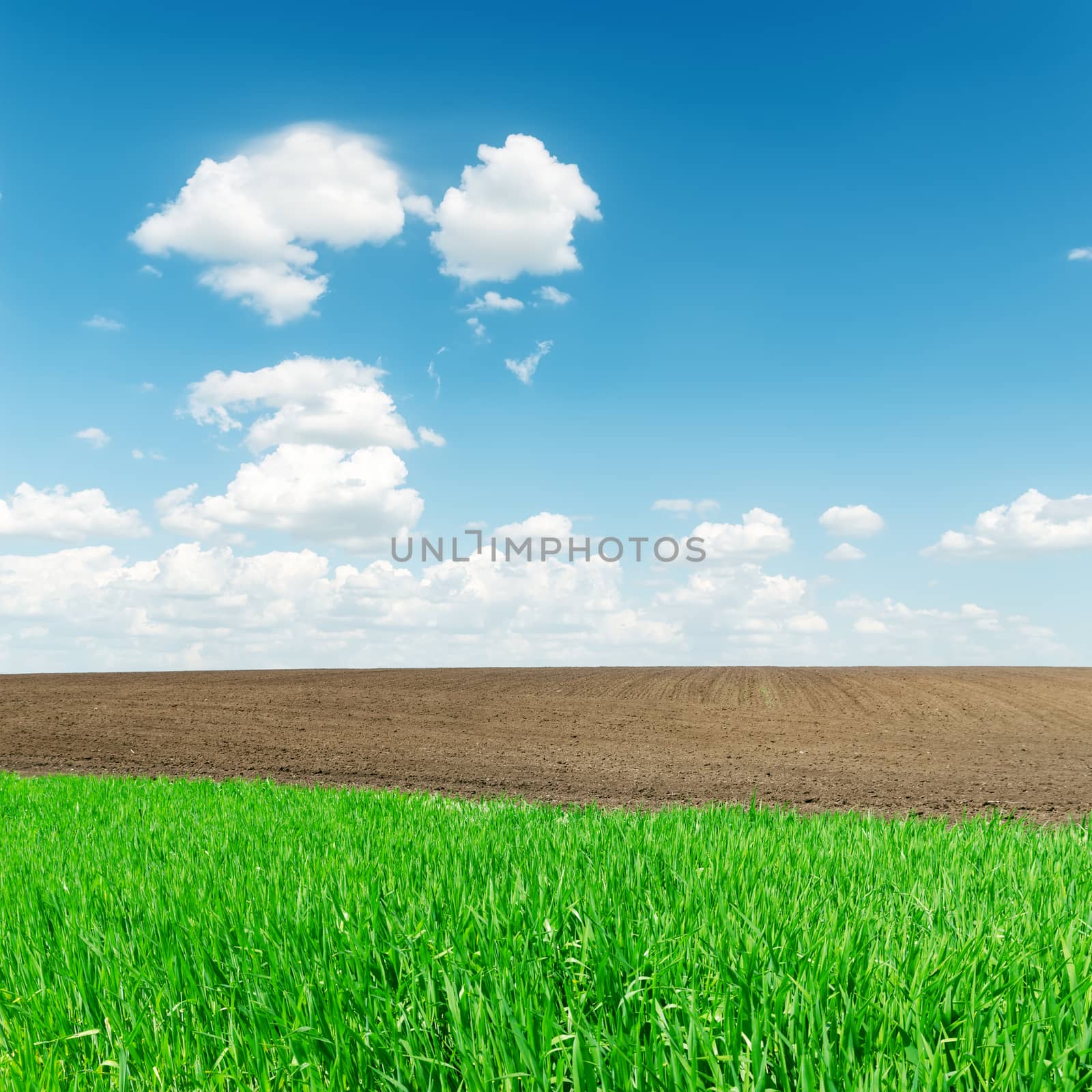 agriculture green and black fields and low clouds in horizon
