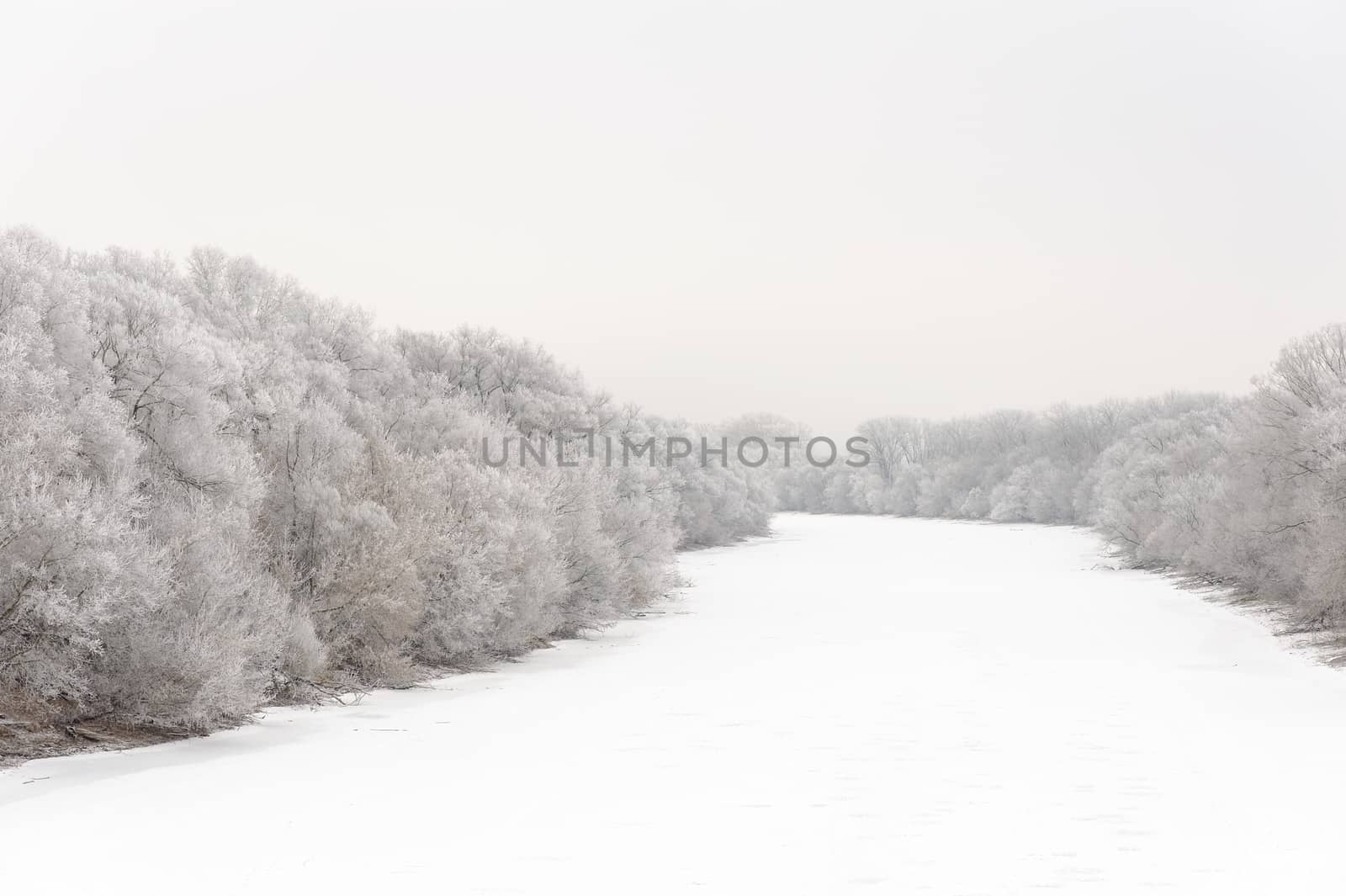 Oka river covered with ice and trees in rime frost