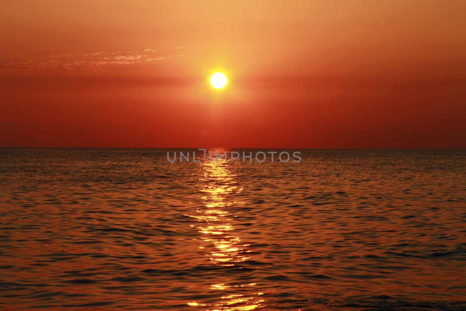 Summer sunset on the beach of the sea
