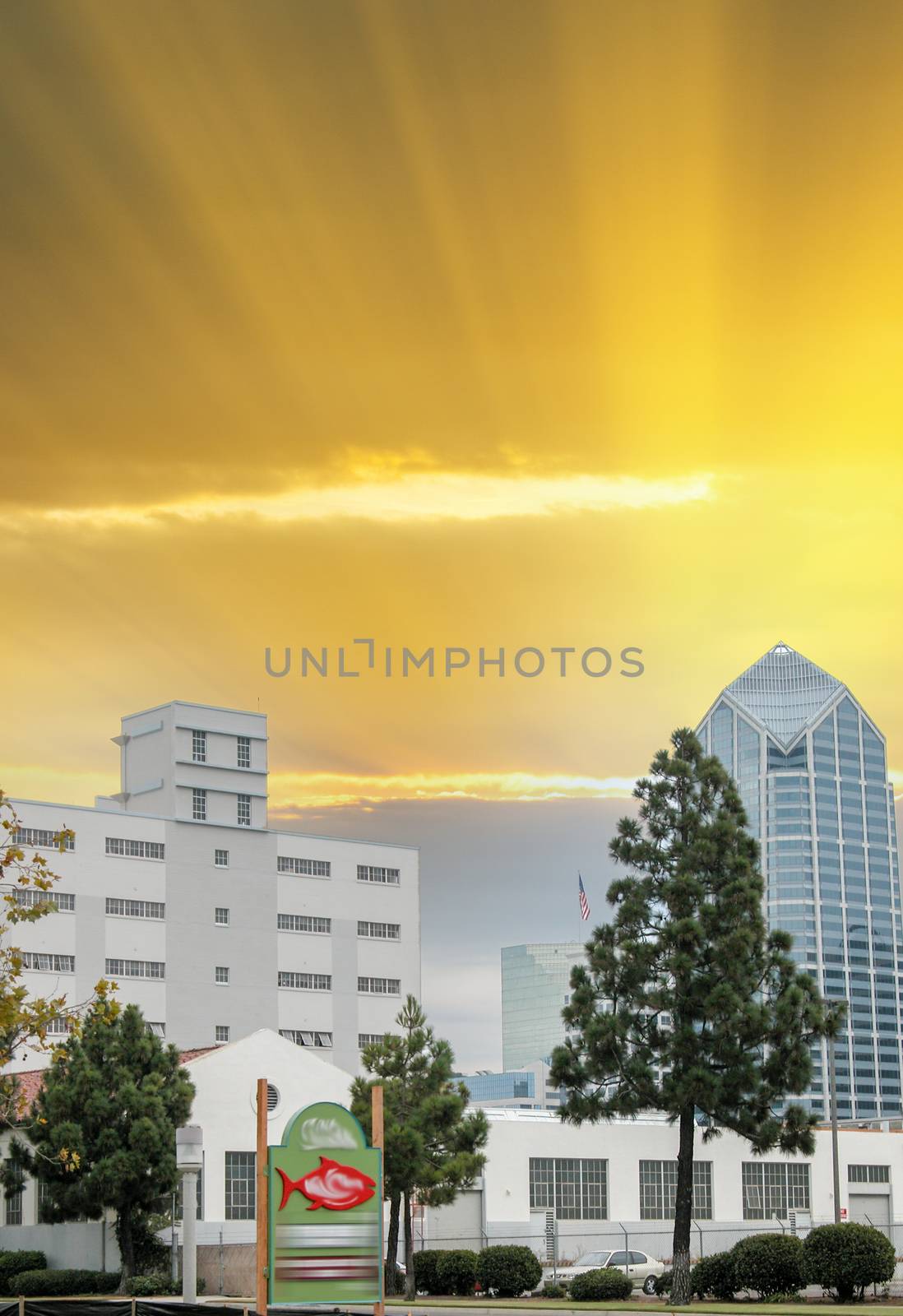 Beautiful cityscape of San Diego, California.