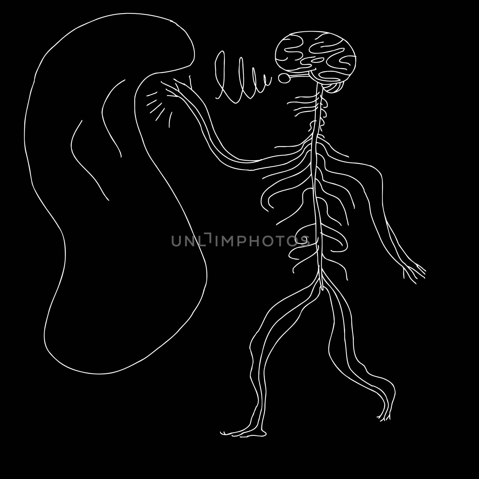 Abstract human nervous system reaching for soft object