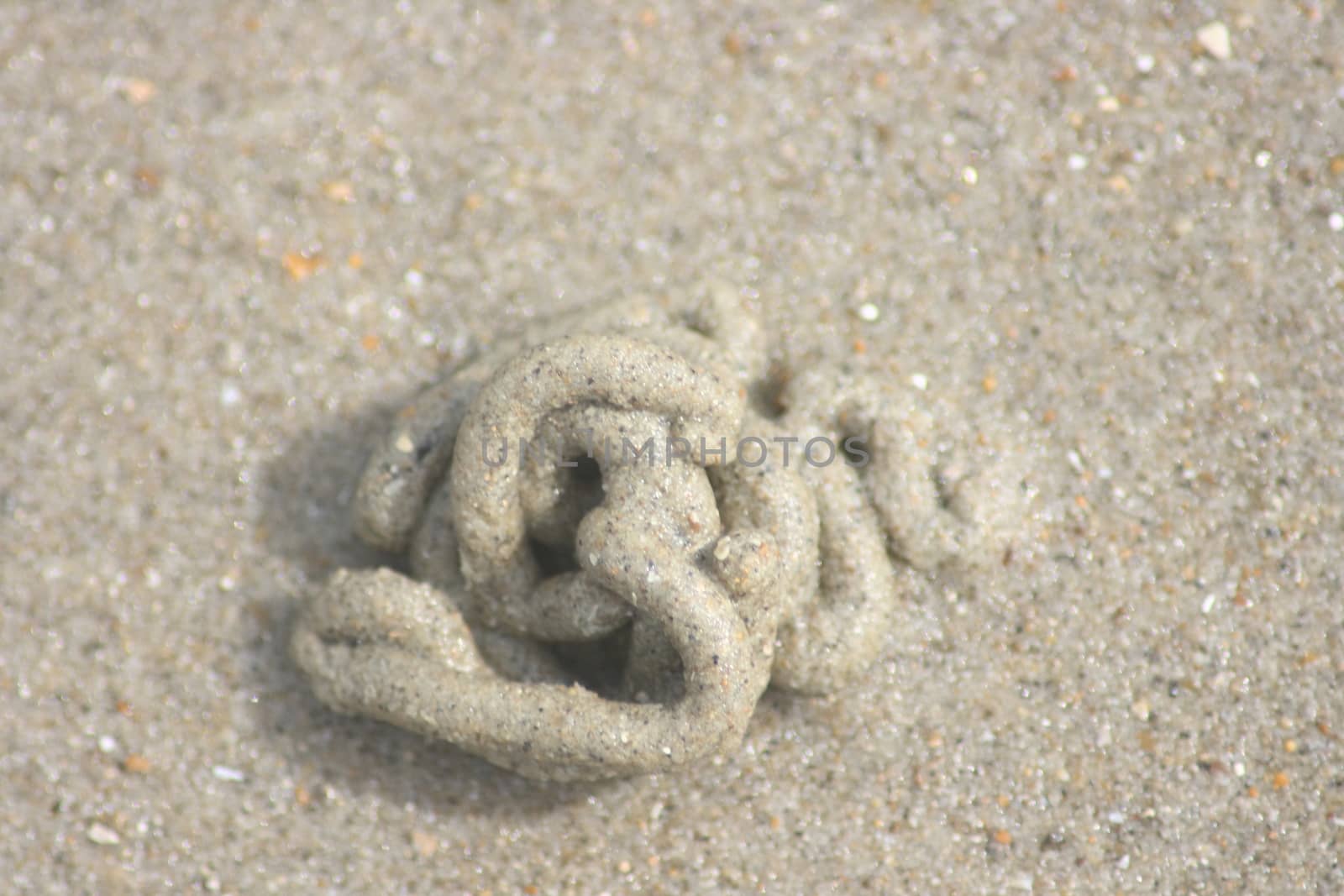 A live bait pile on the North Sea beach